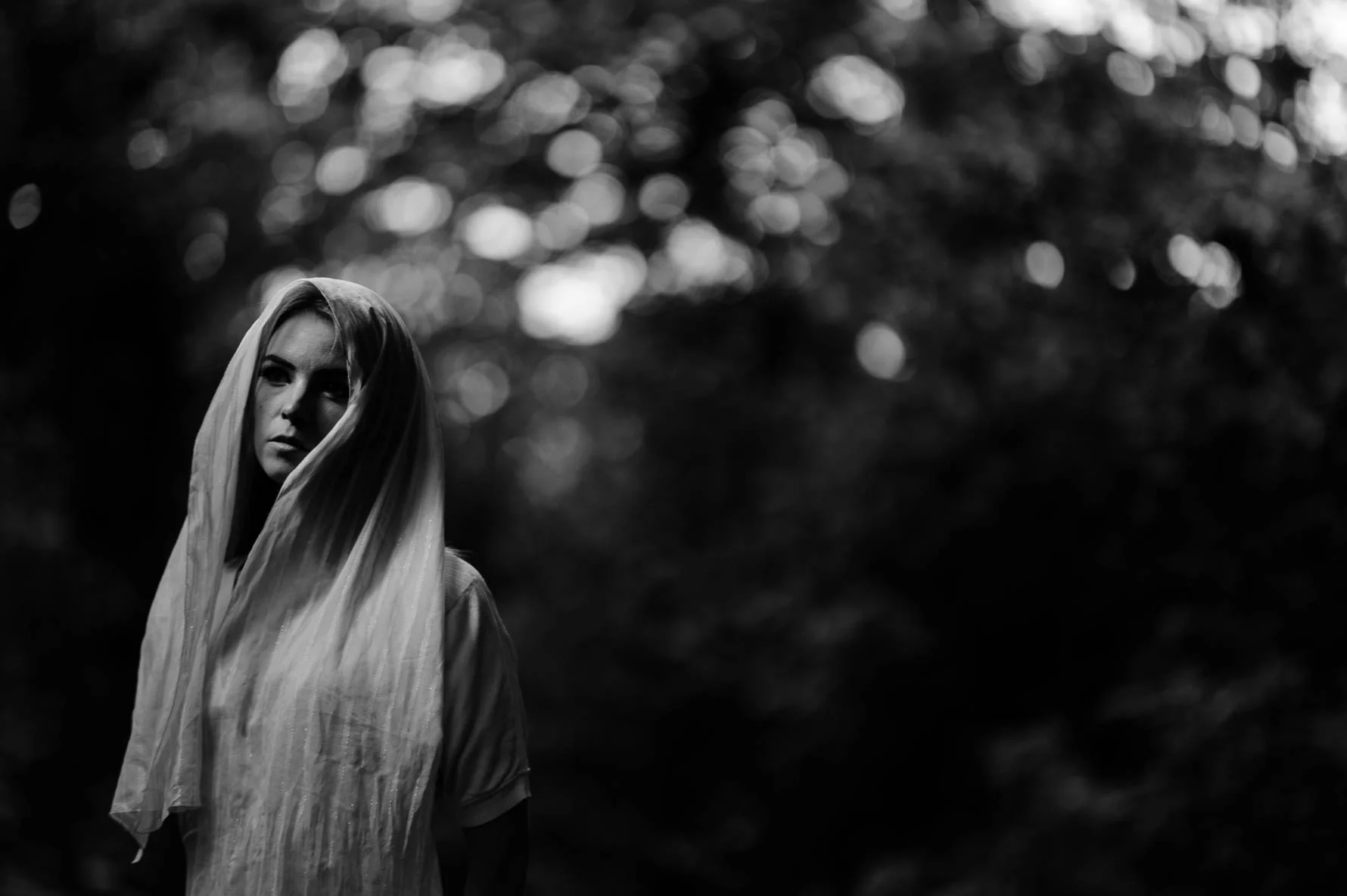 woods-20140828679