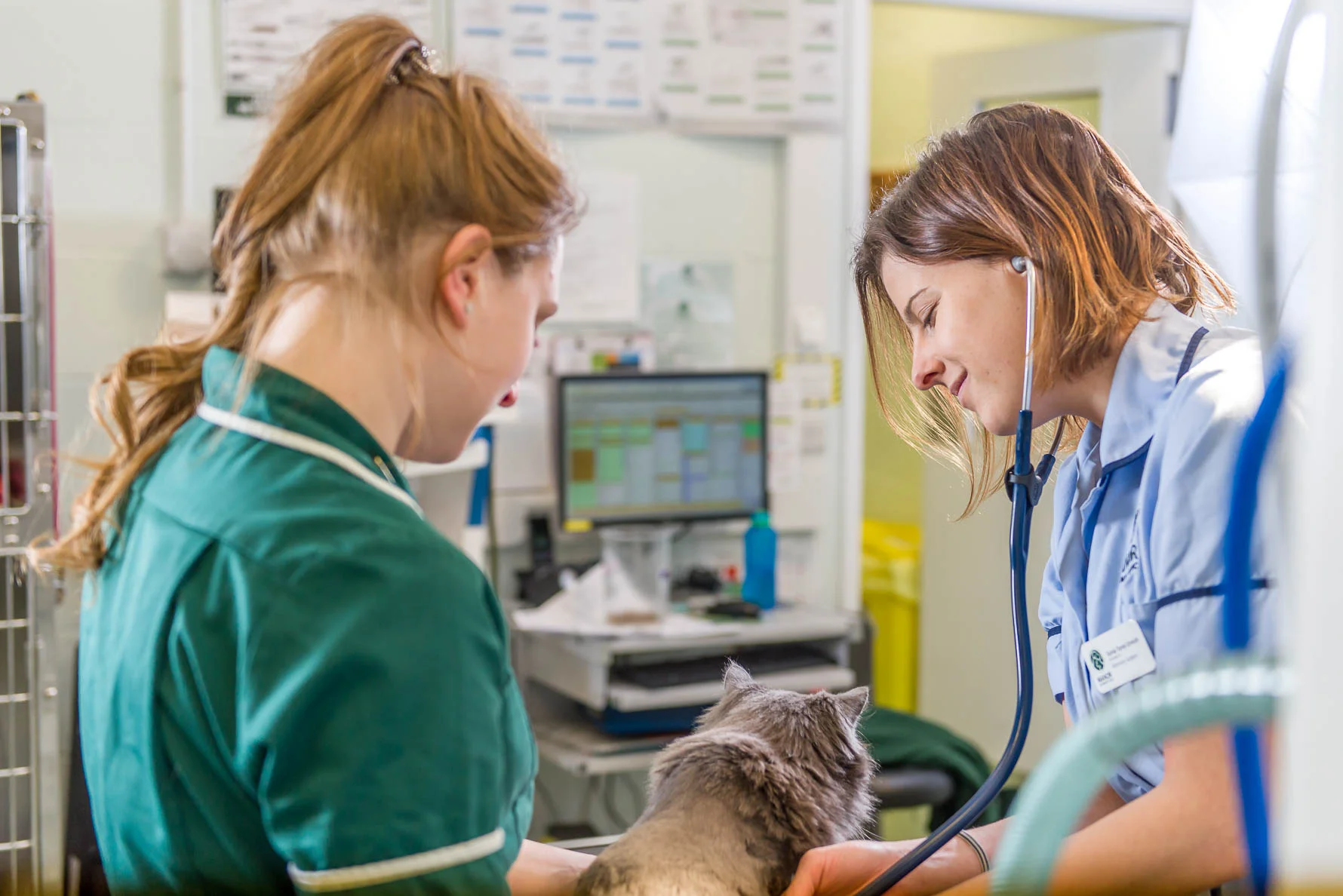 Manor vets Folkestone-22.jpg