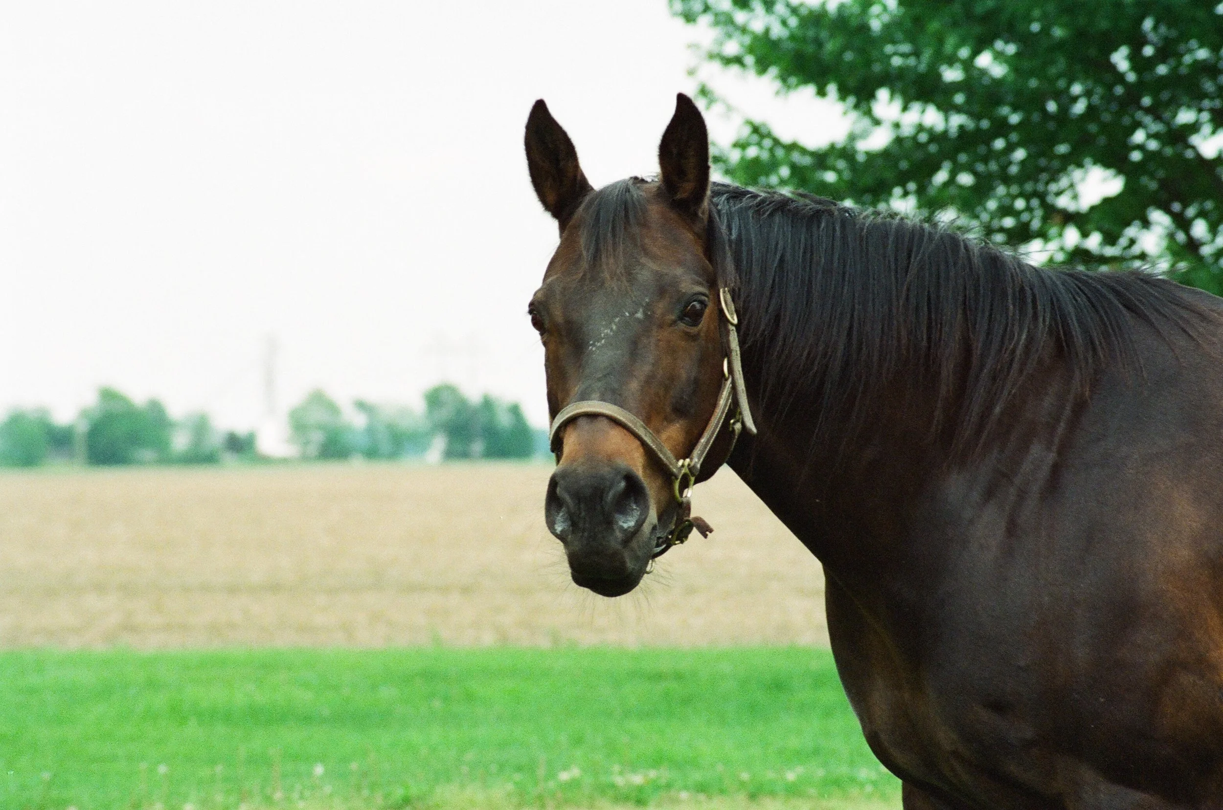 Send me a note and tell me about some of your fears and what you do when you are faced with them...I'm all ears and Fred is a really good listener, too Fred….captured on film :)