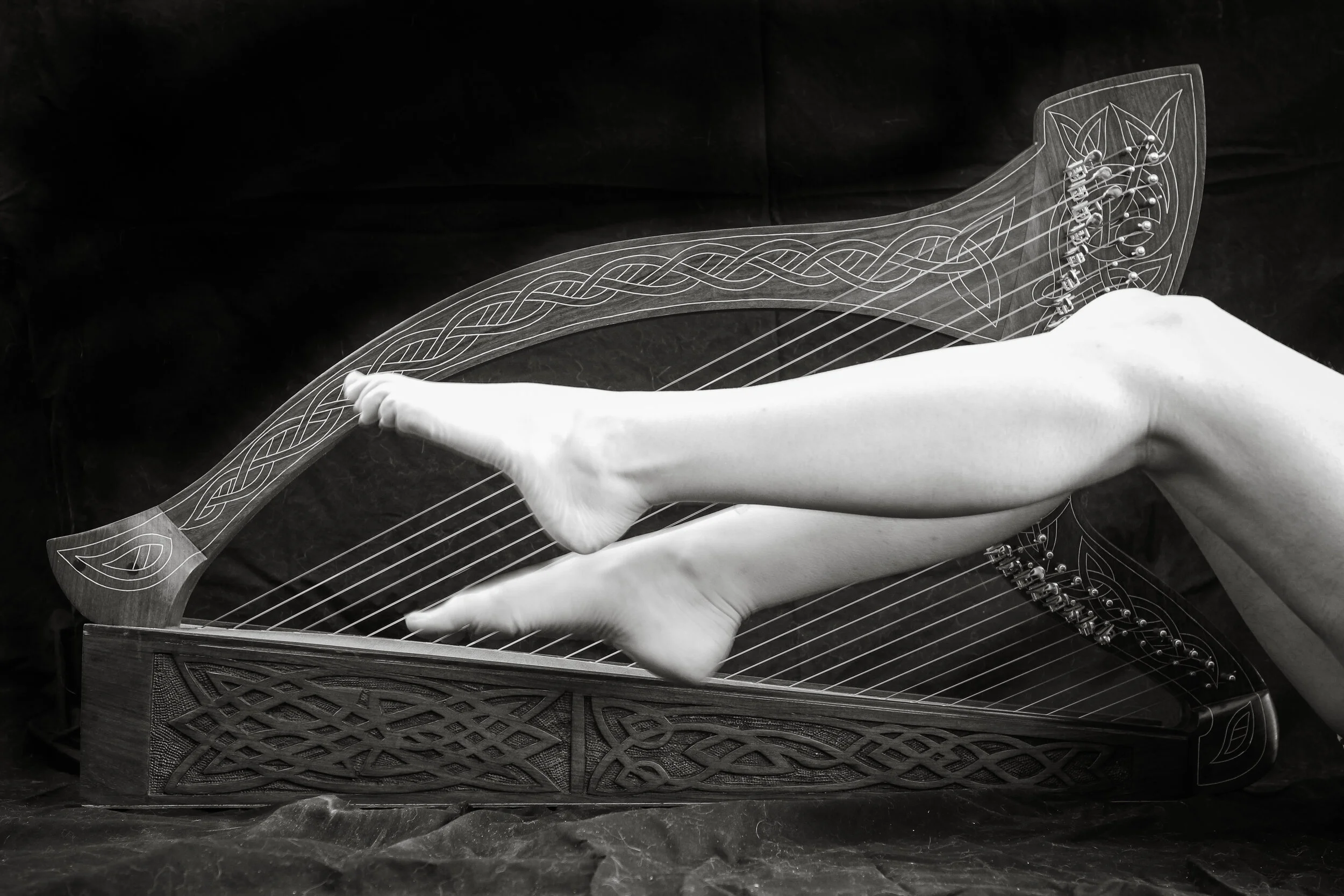 Harpists legs-8197.jpg