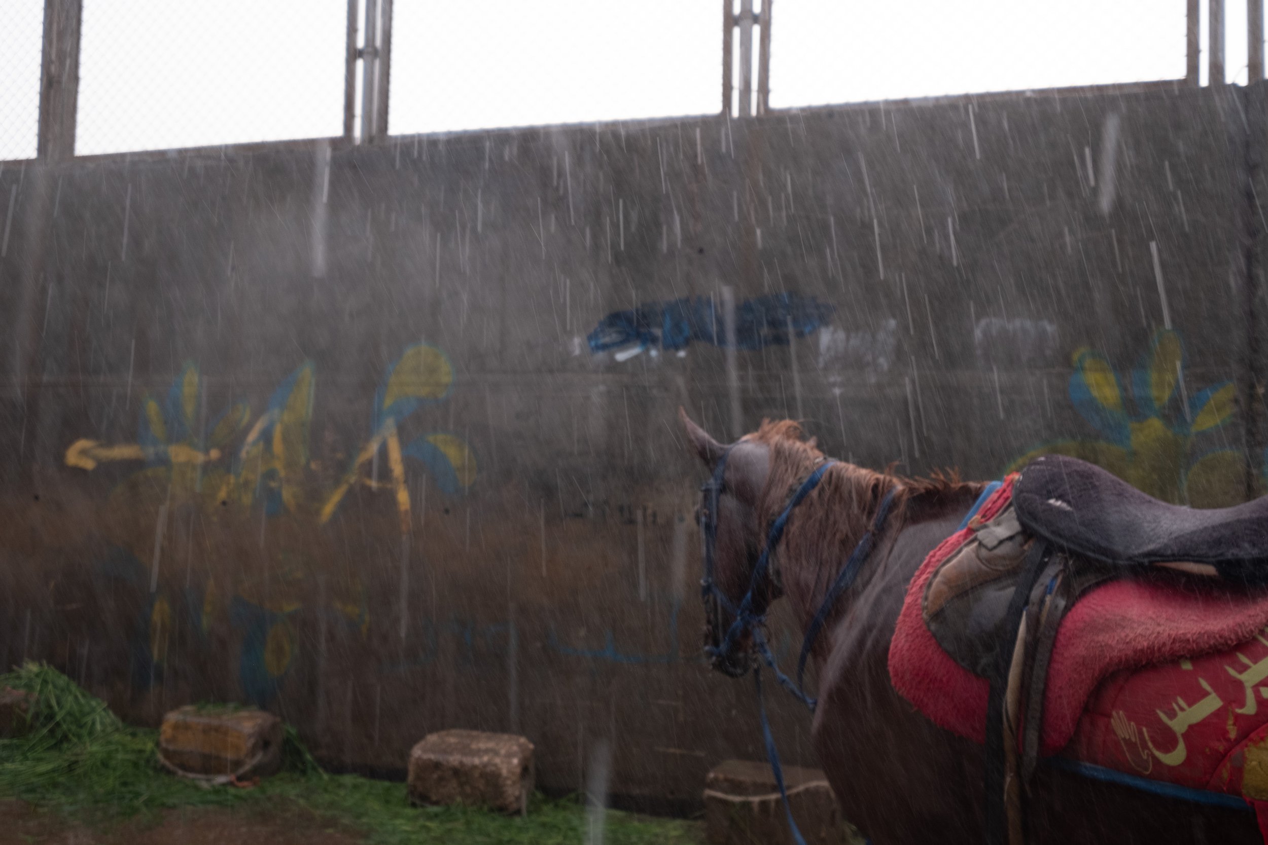 Rain in Cairo