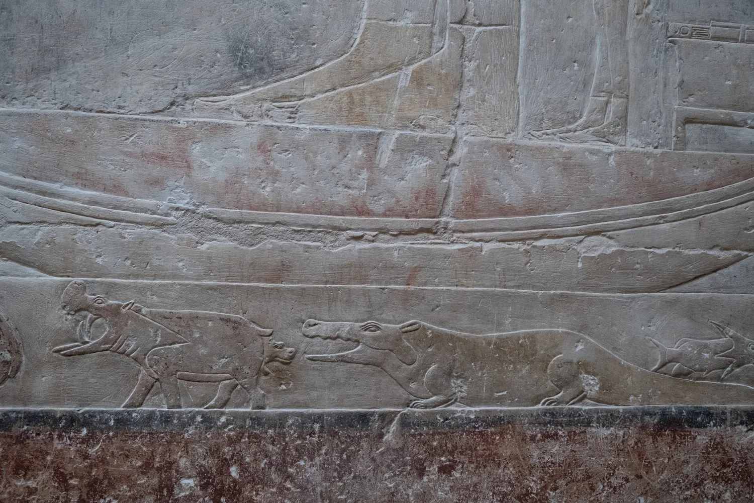 The Hippopotamus, the Crocodile, and YOU (…and ewe)!