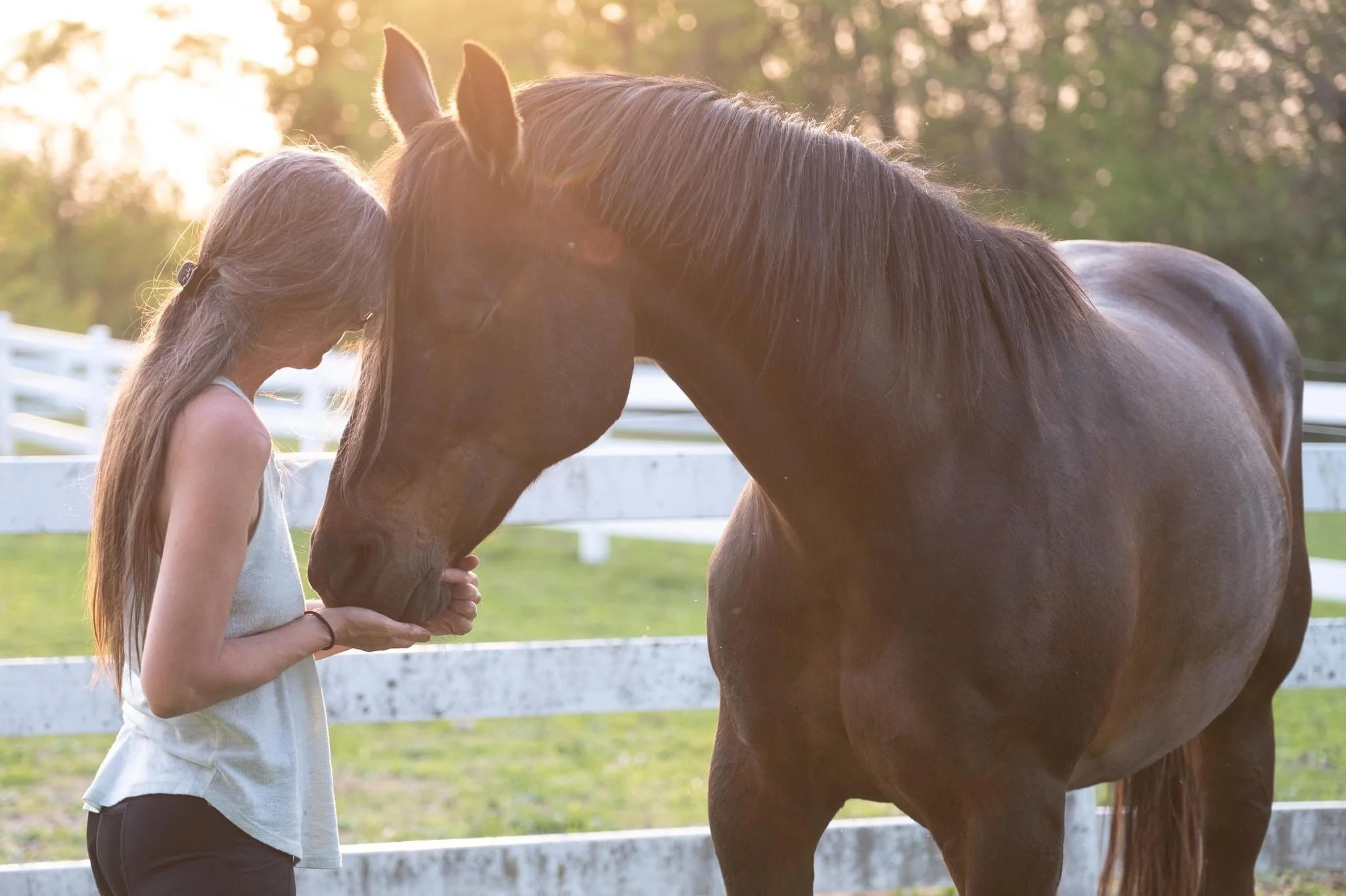 Remembering Fred: Part 2