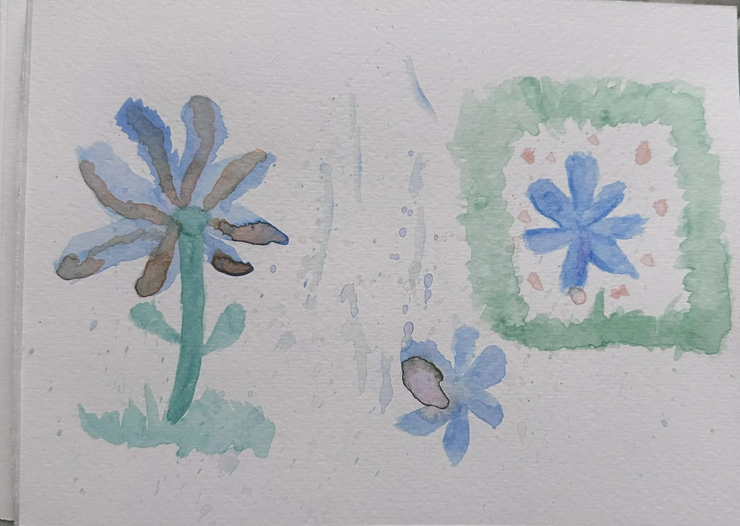 My first watercolor attempts