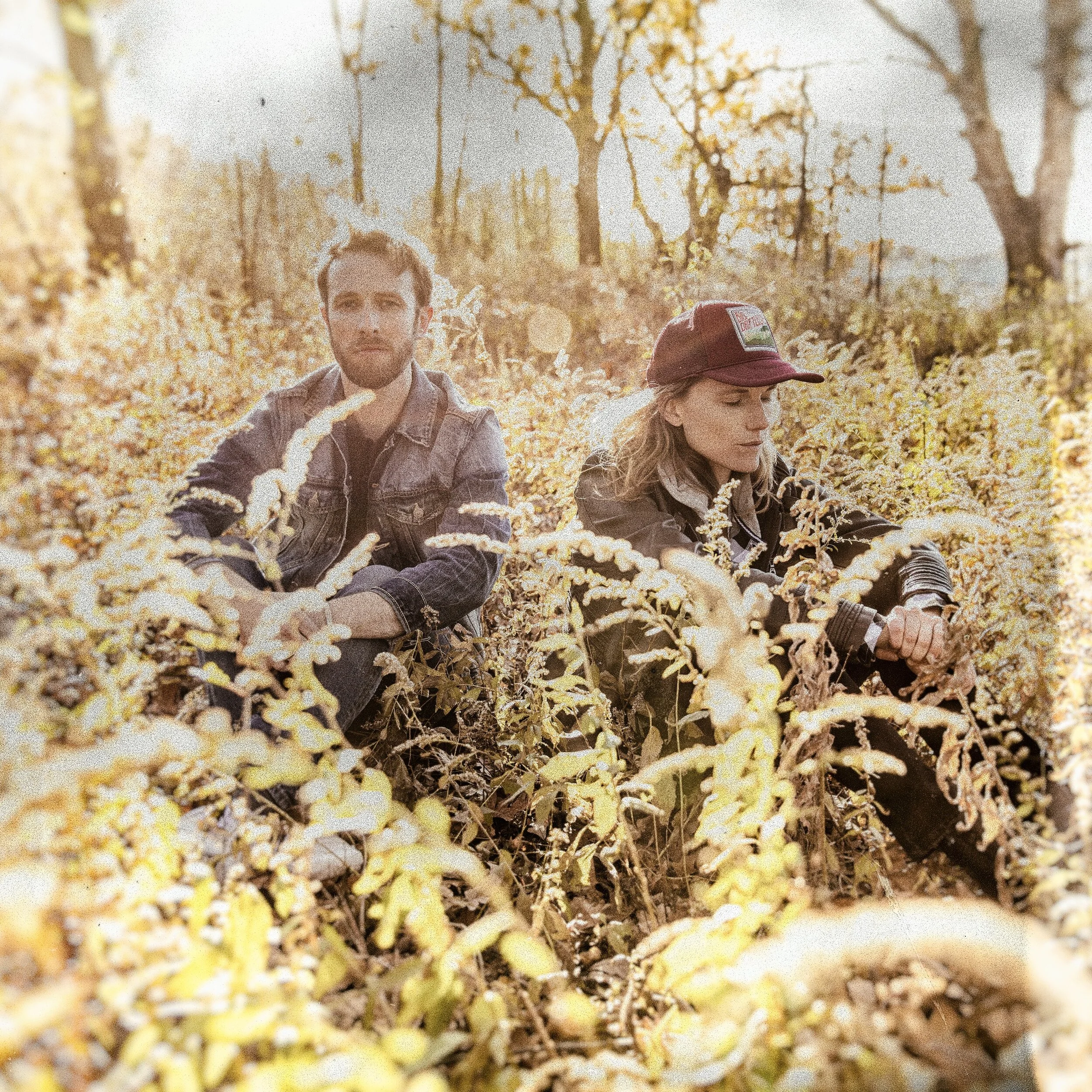 Birds Album Cover