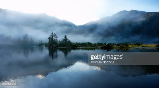 Photo by Thomas Northcut/DigitalVision / Getty Images