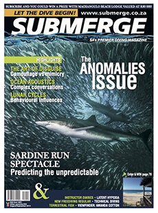 SUBMERGE MAGAZINE.jpg