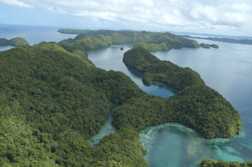 Palau Adventures_150.jpg