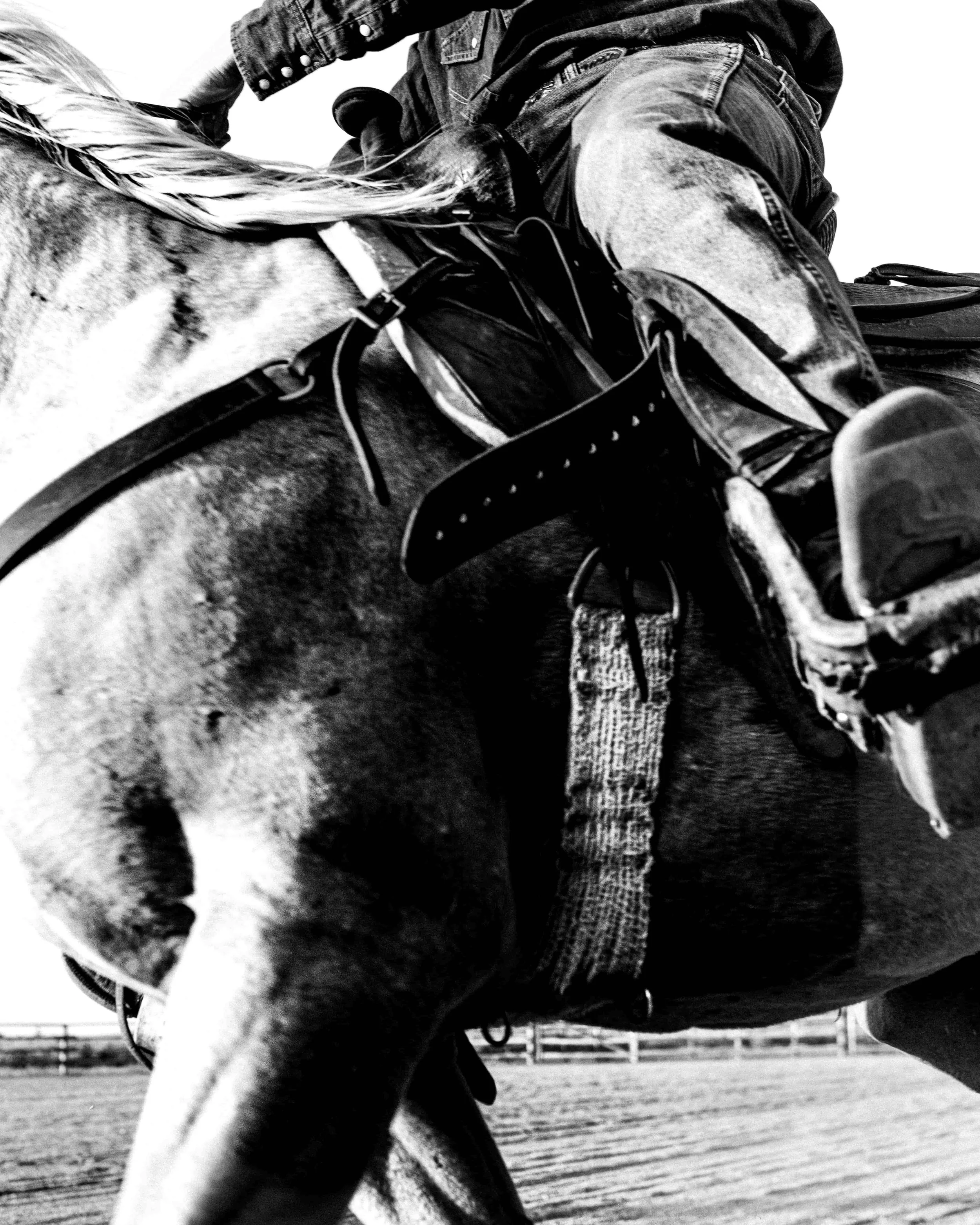 partner-saddle-horse-western-roping.jpg