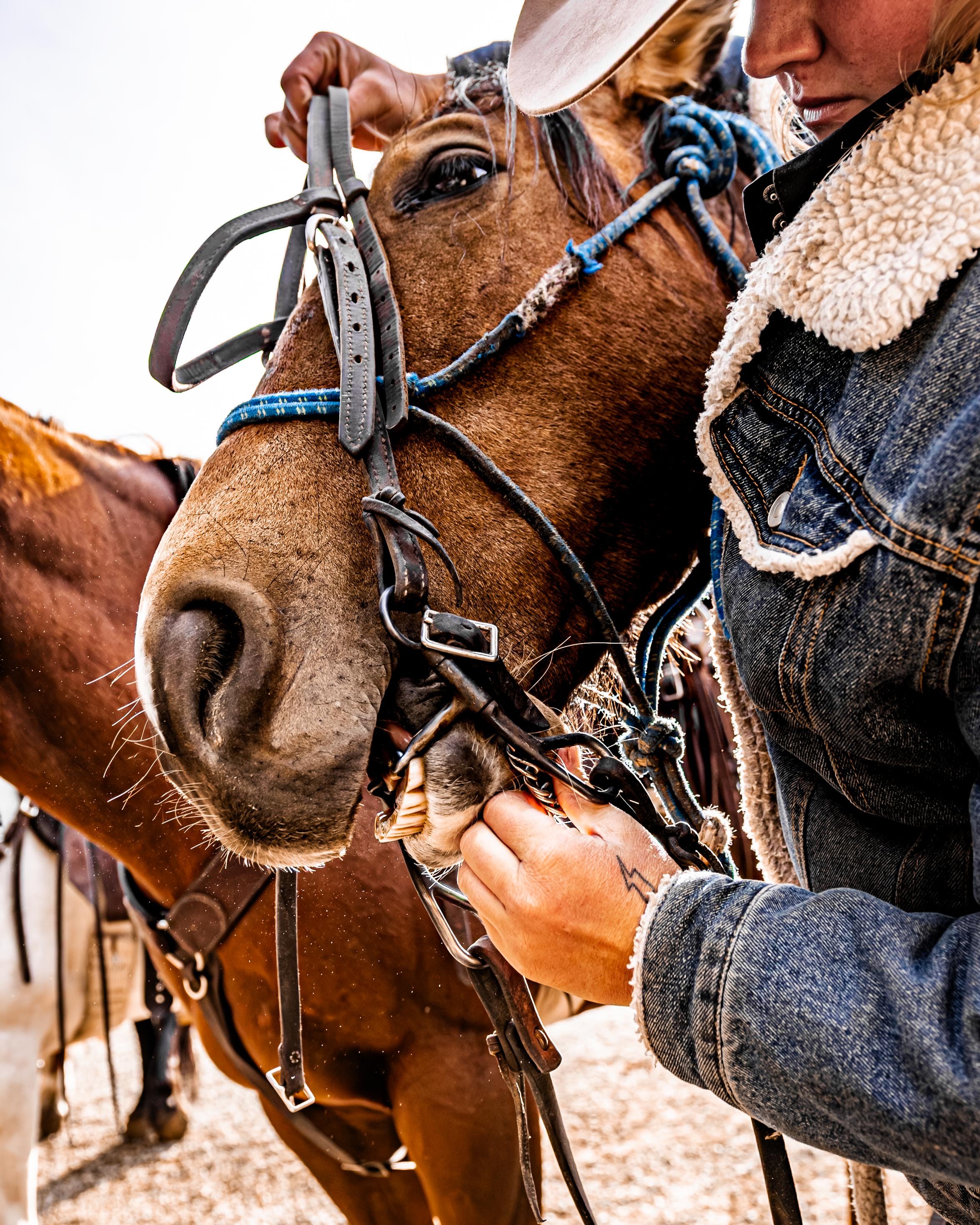 A person in a denim jacket with a shearling collar adjusting the bridle of a brown horse.