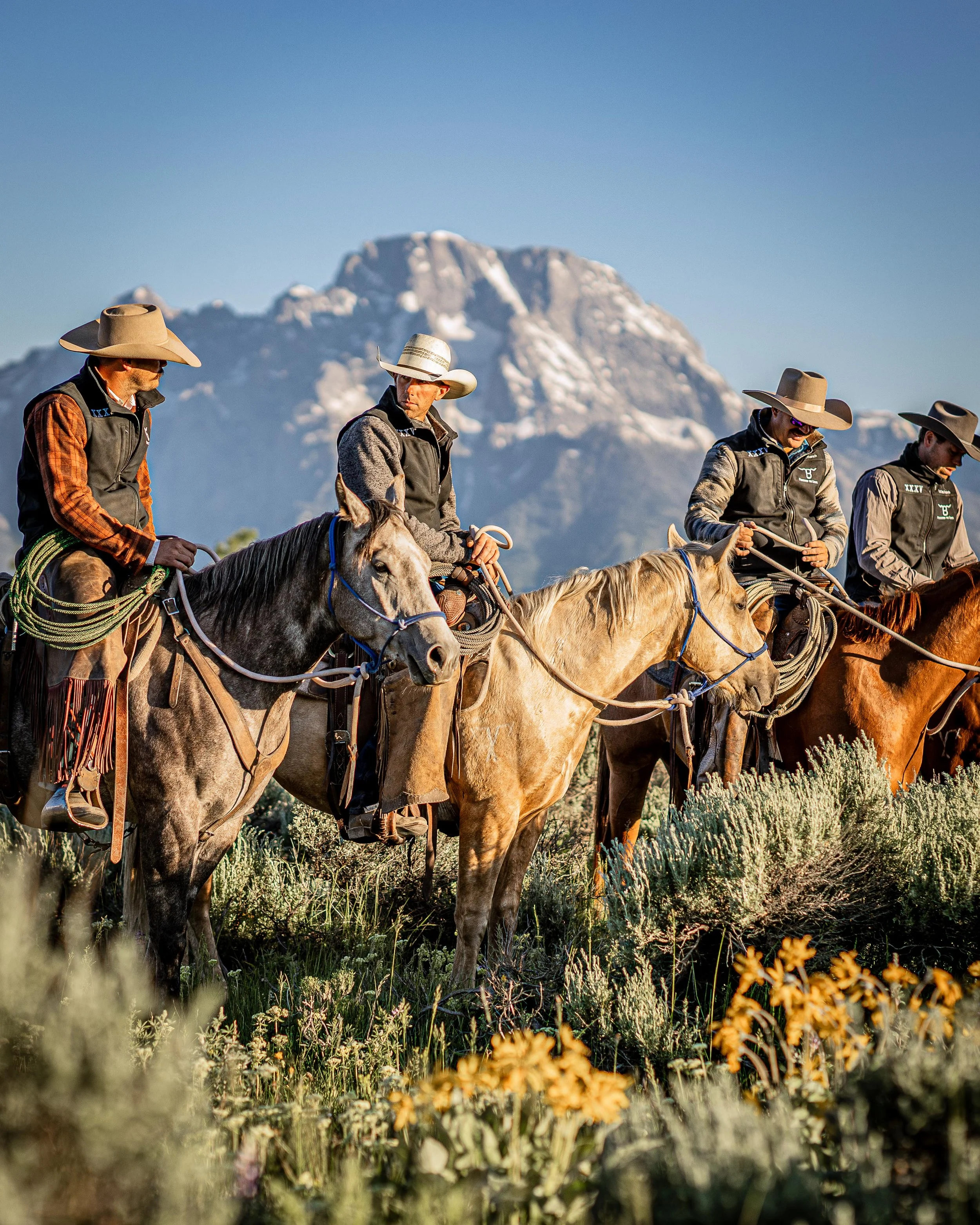 Four cowboys on horseback riding through a landscape with mountain in the background.