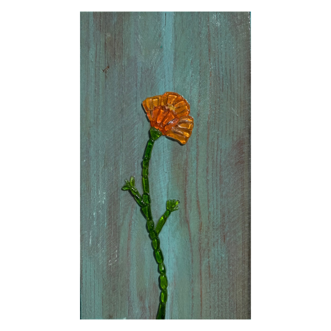 Untitled(20).PNG