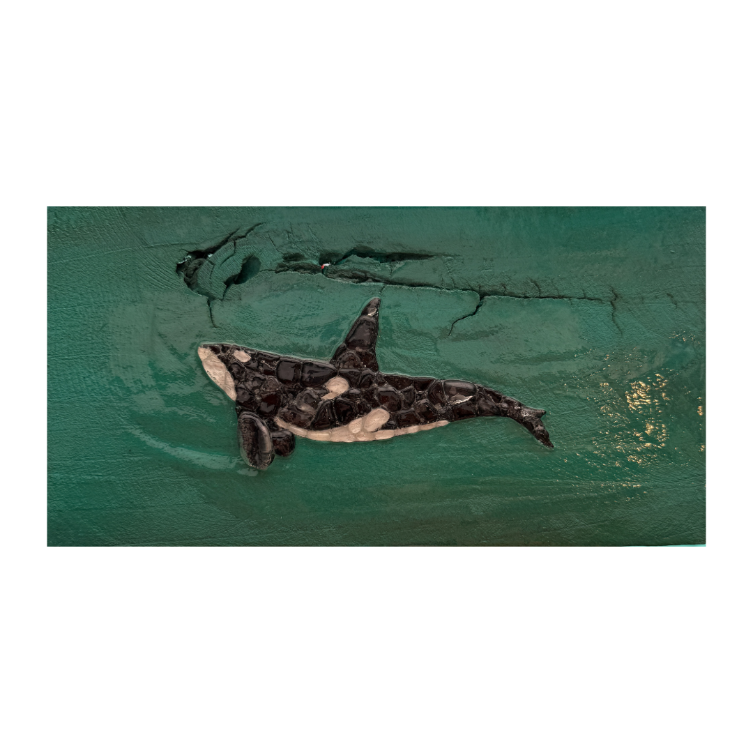 Sea glass Orca/Killer Whale