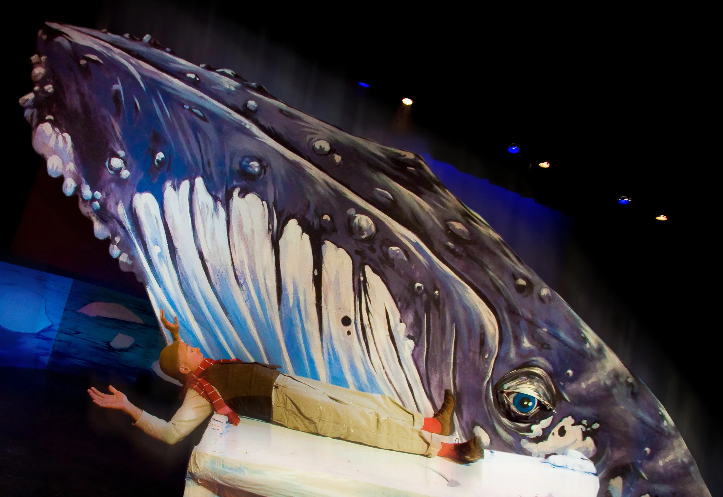 THE MAN THE SEA SAW _Whale_.jpg