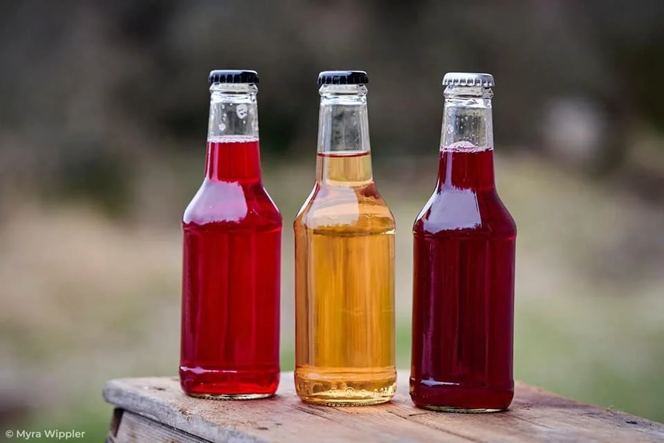 stannagarden-saft-ethel-hartmann.jpg