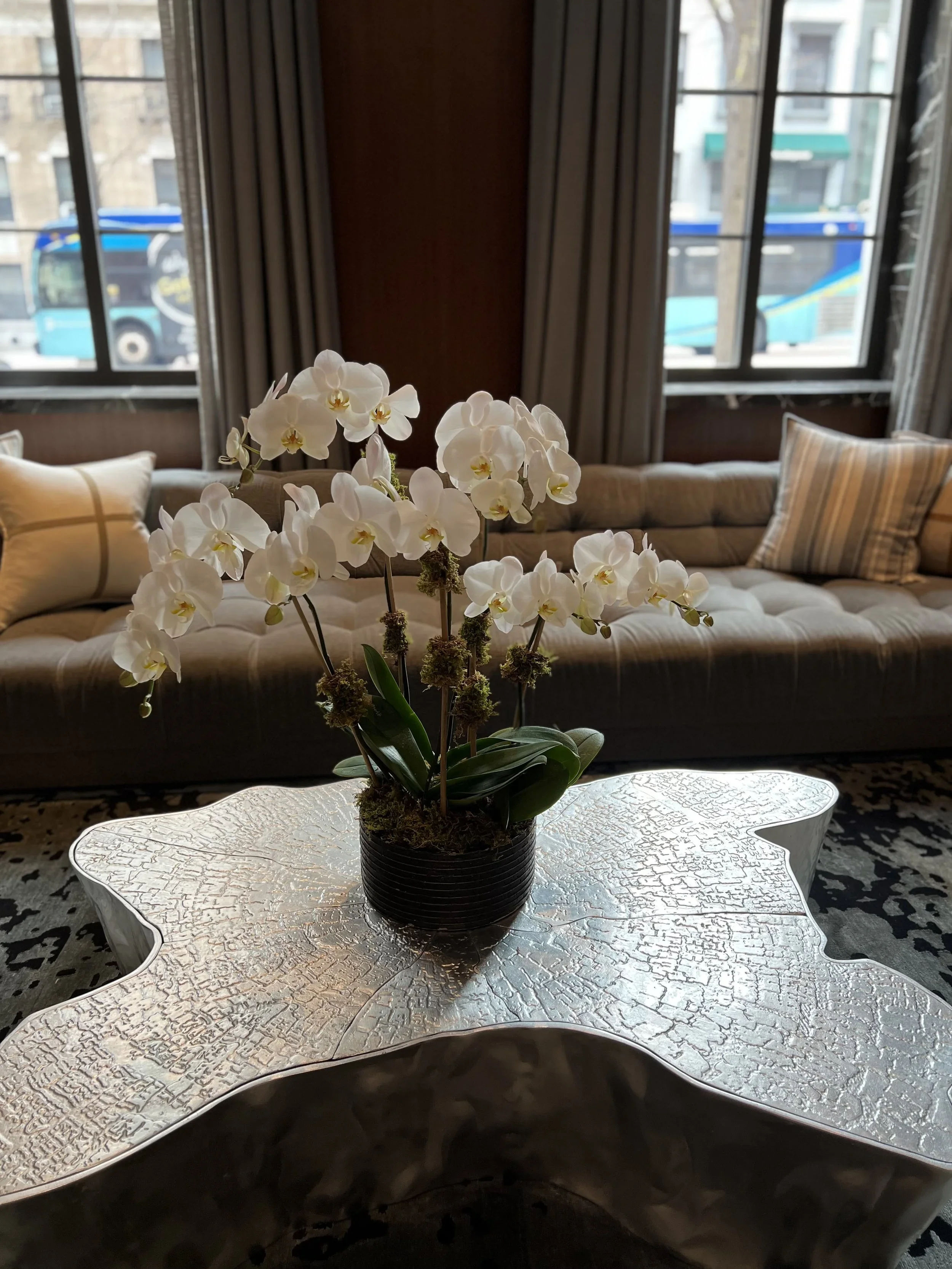 orchid3.webp