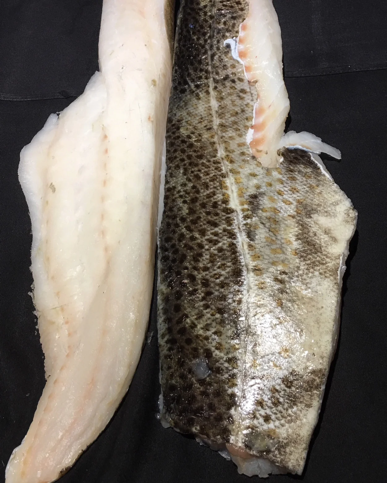 FOGO ISLAND COD FILLETS
