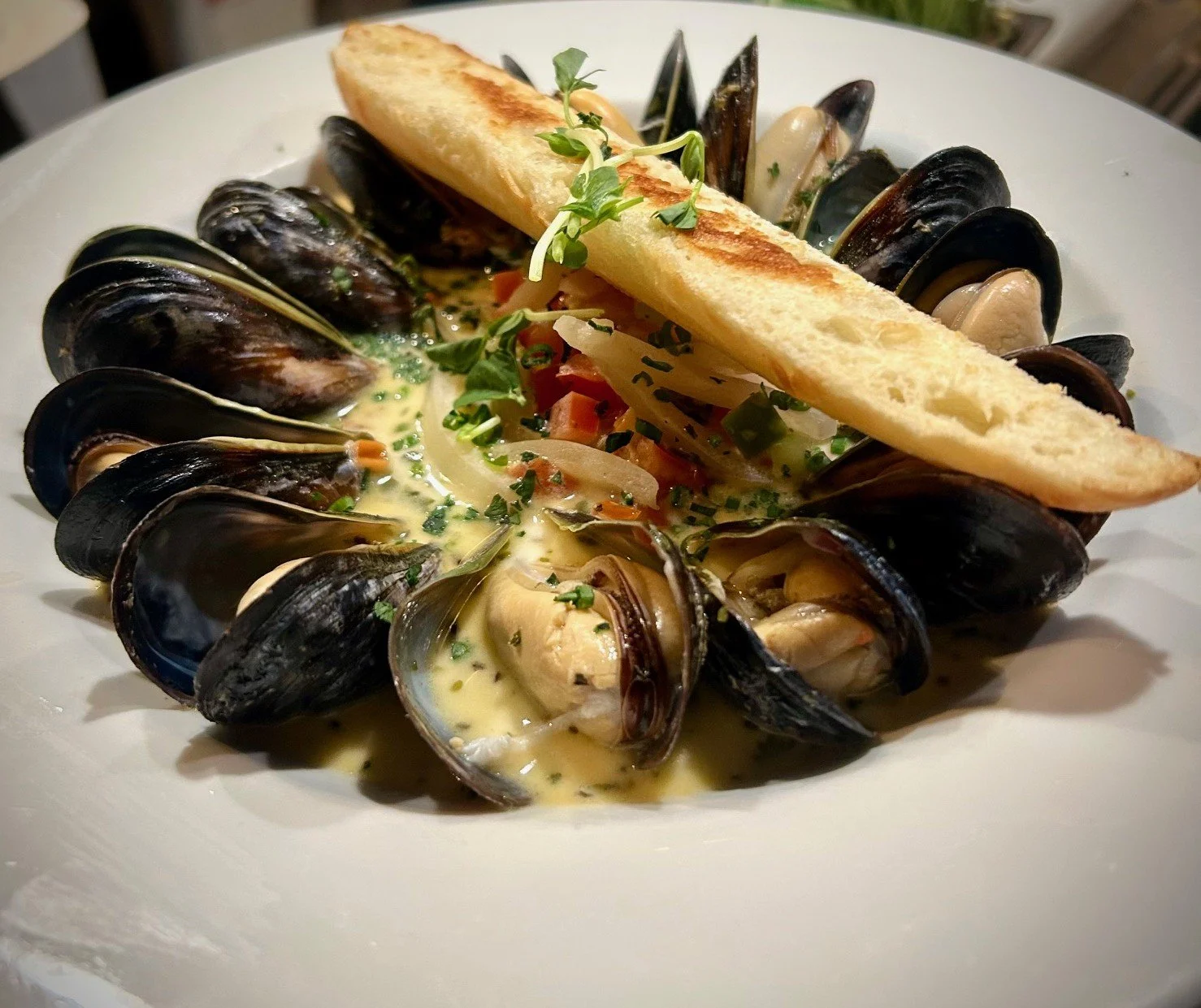 Saltspring Mussels | white wine-cream 