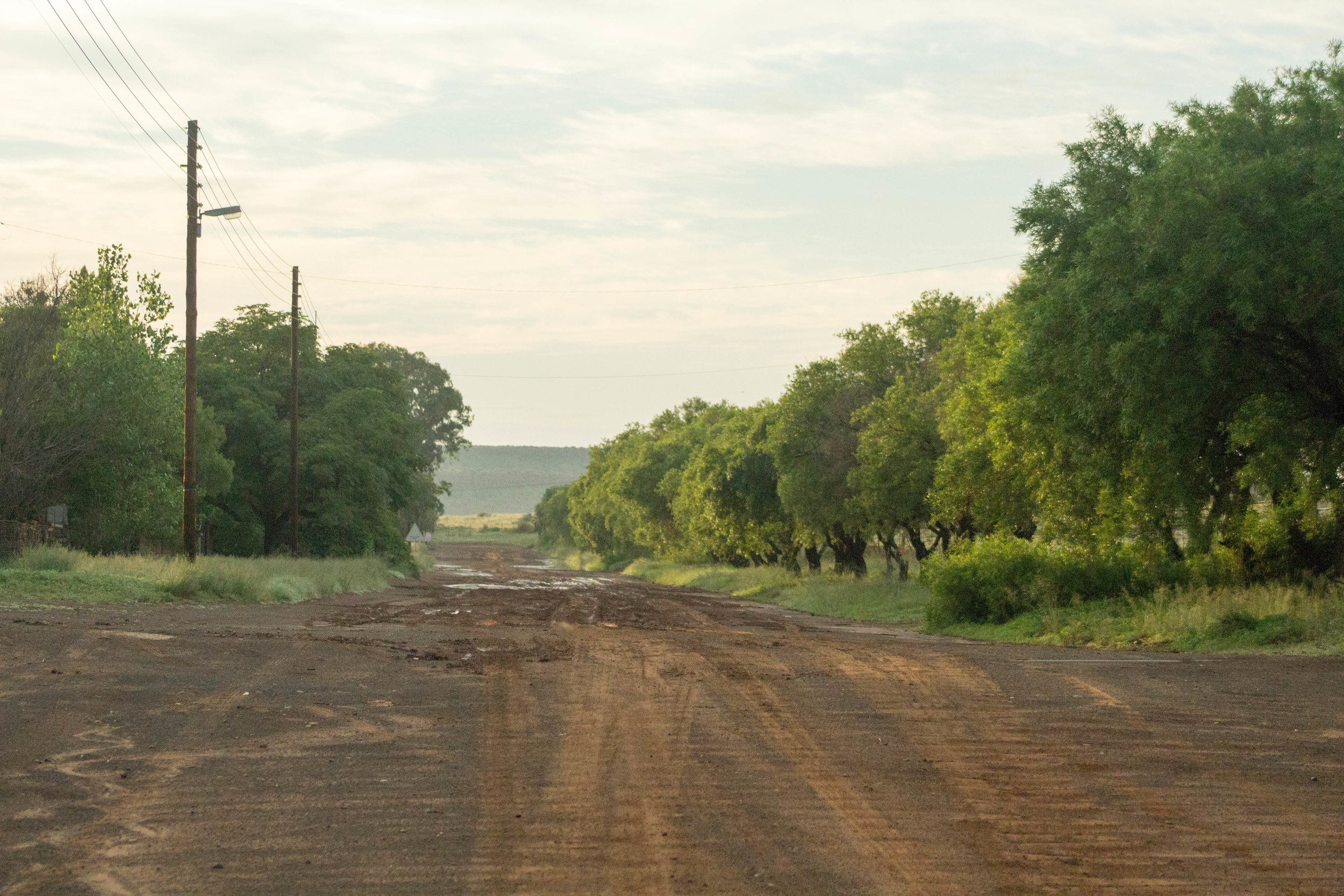 The road to Die Groenhuis in Philipolis