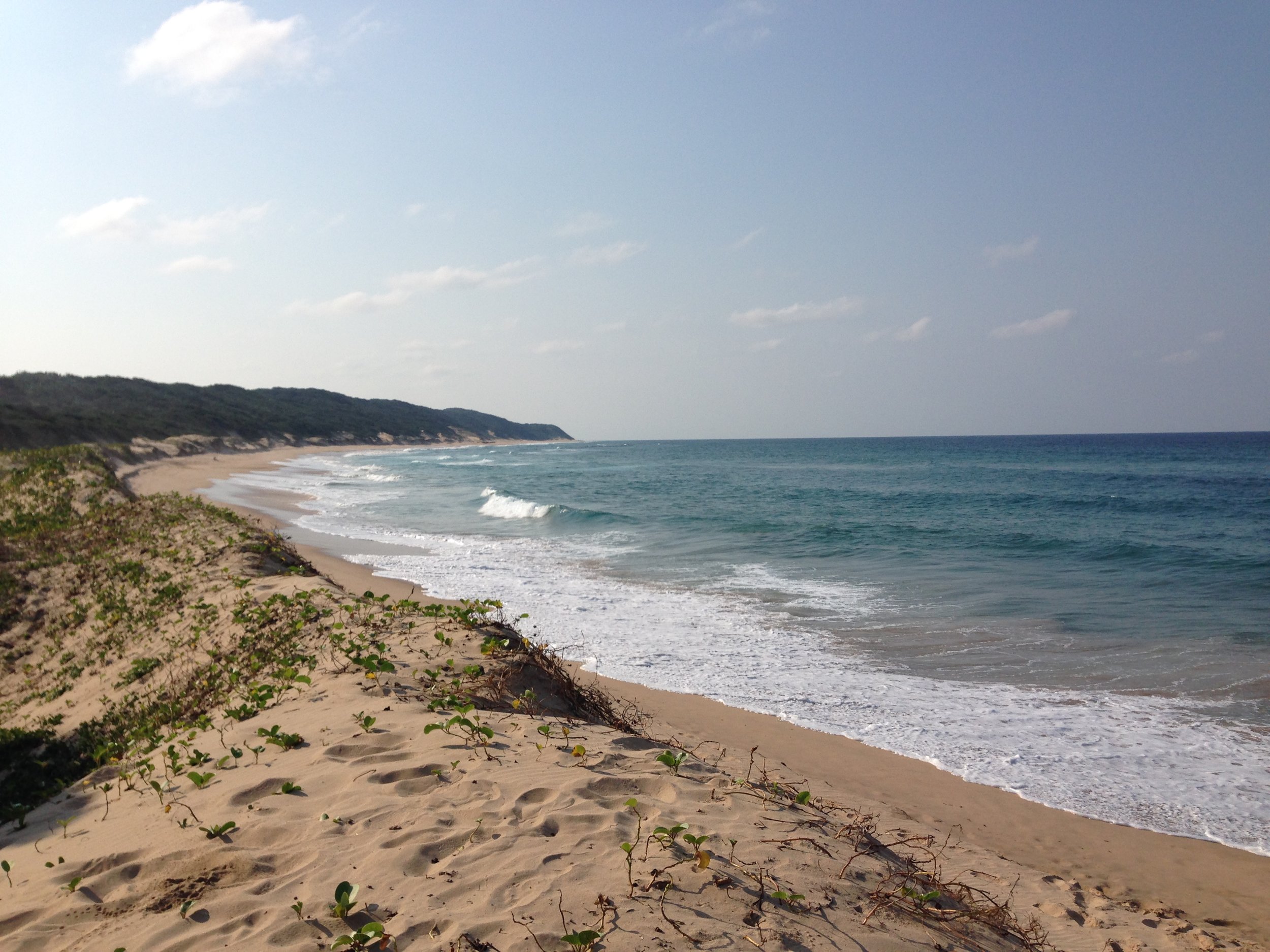 Black Rock Beach