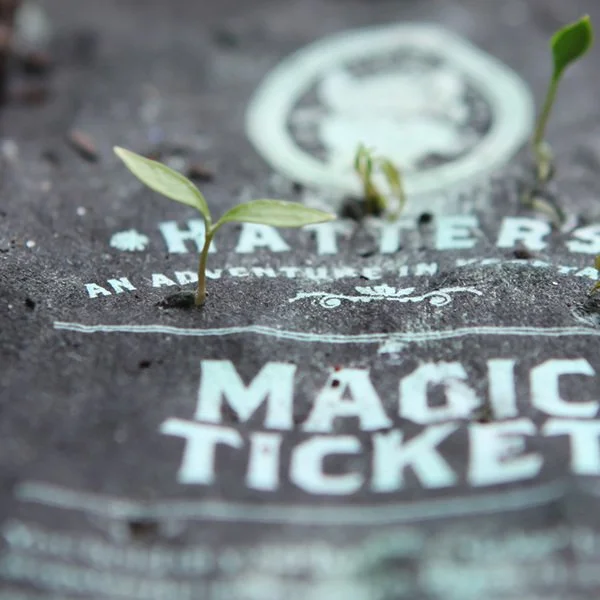 5 magic-tickets-grow_600.jpeg
