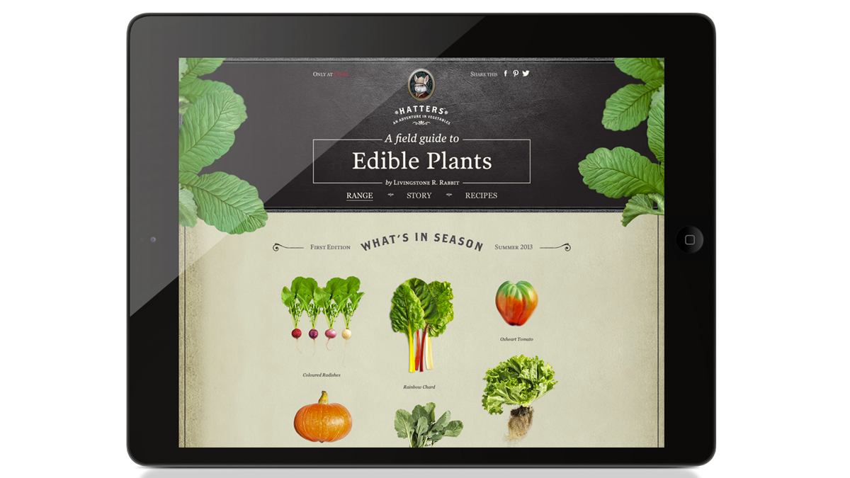 9 gallery-images_web1.png