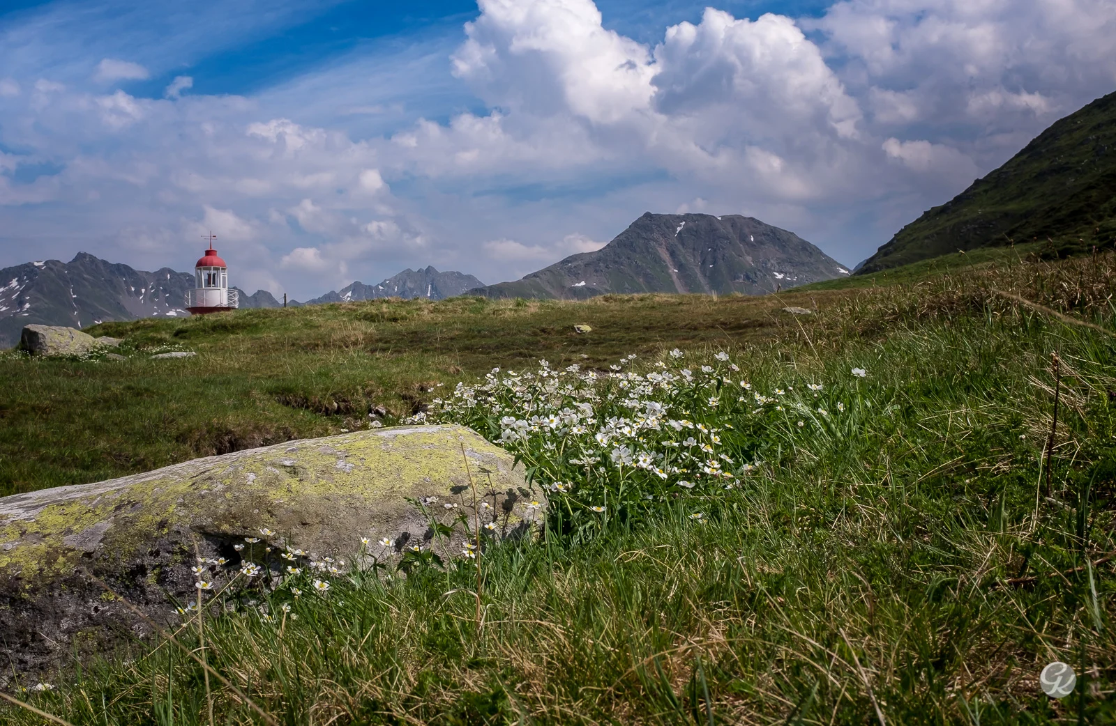 DSCF4952.jpg