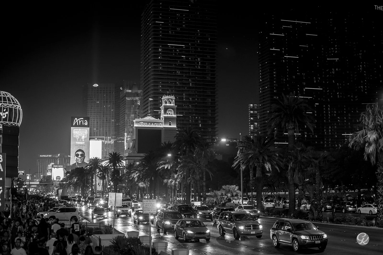 DSC_3930.jpg