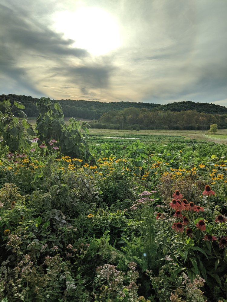 SOURCING — LAUNE BREAD