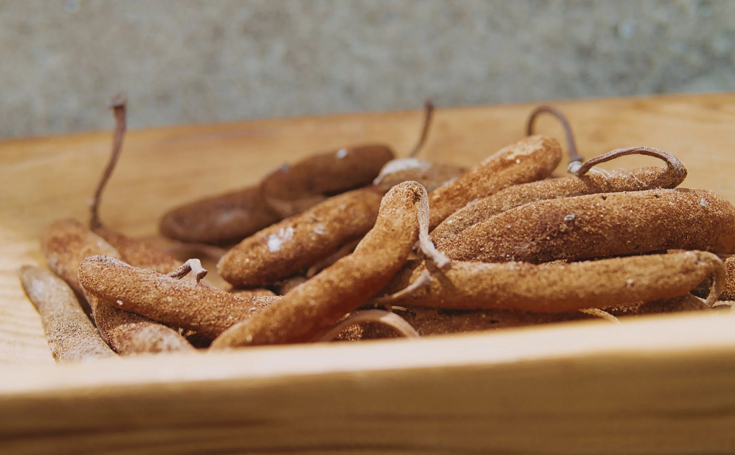 麵包樹雄蕊 天然蚊香