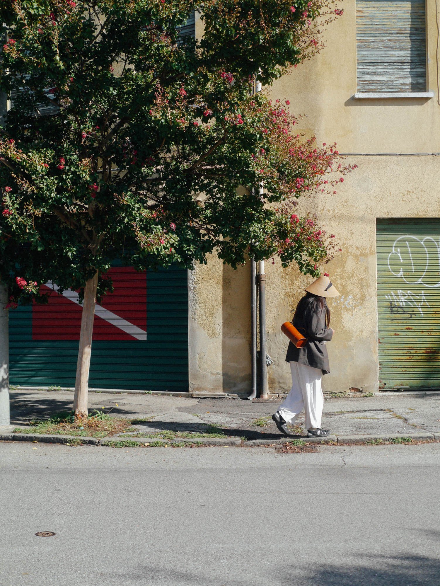 P2510103.jpg