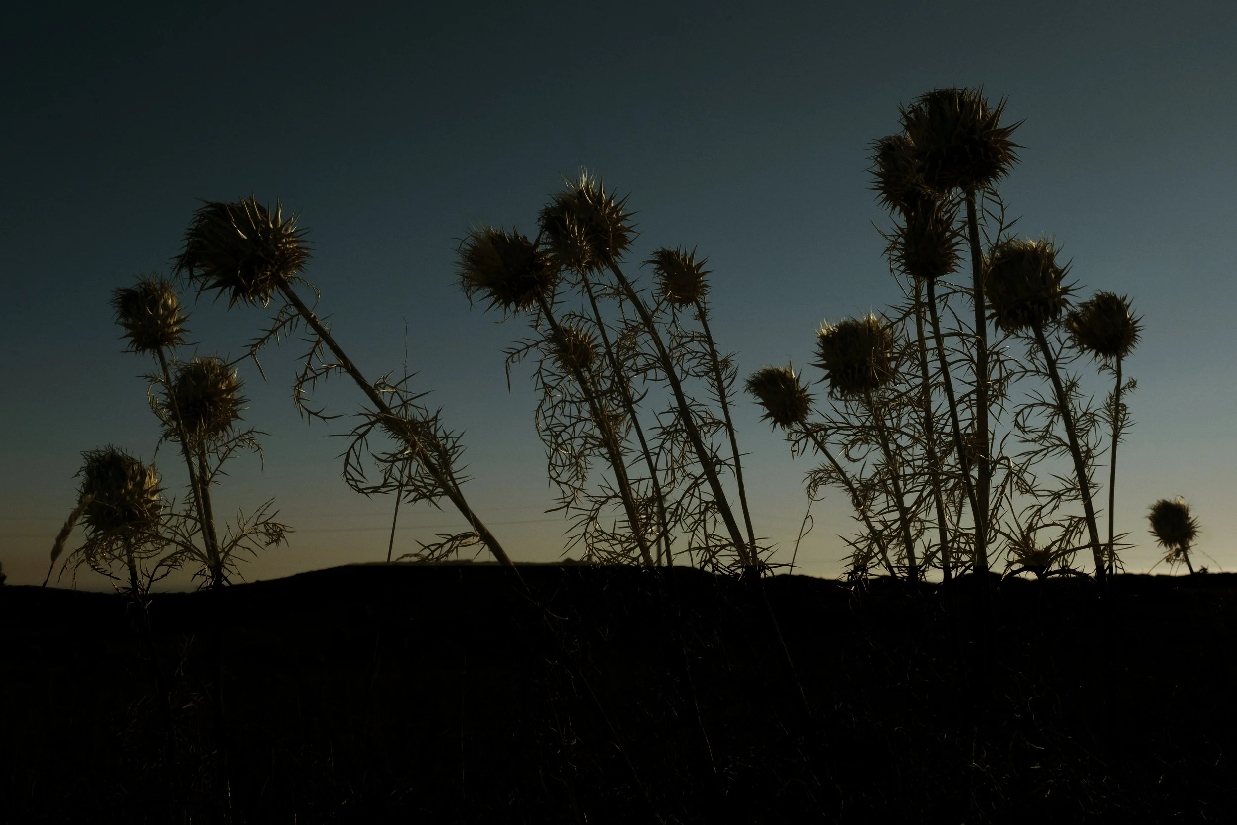 DSCF1560.jpg