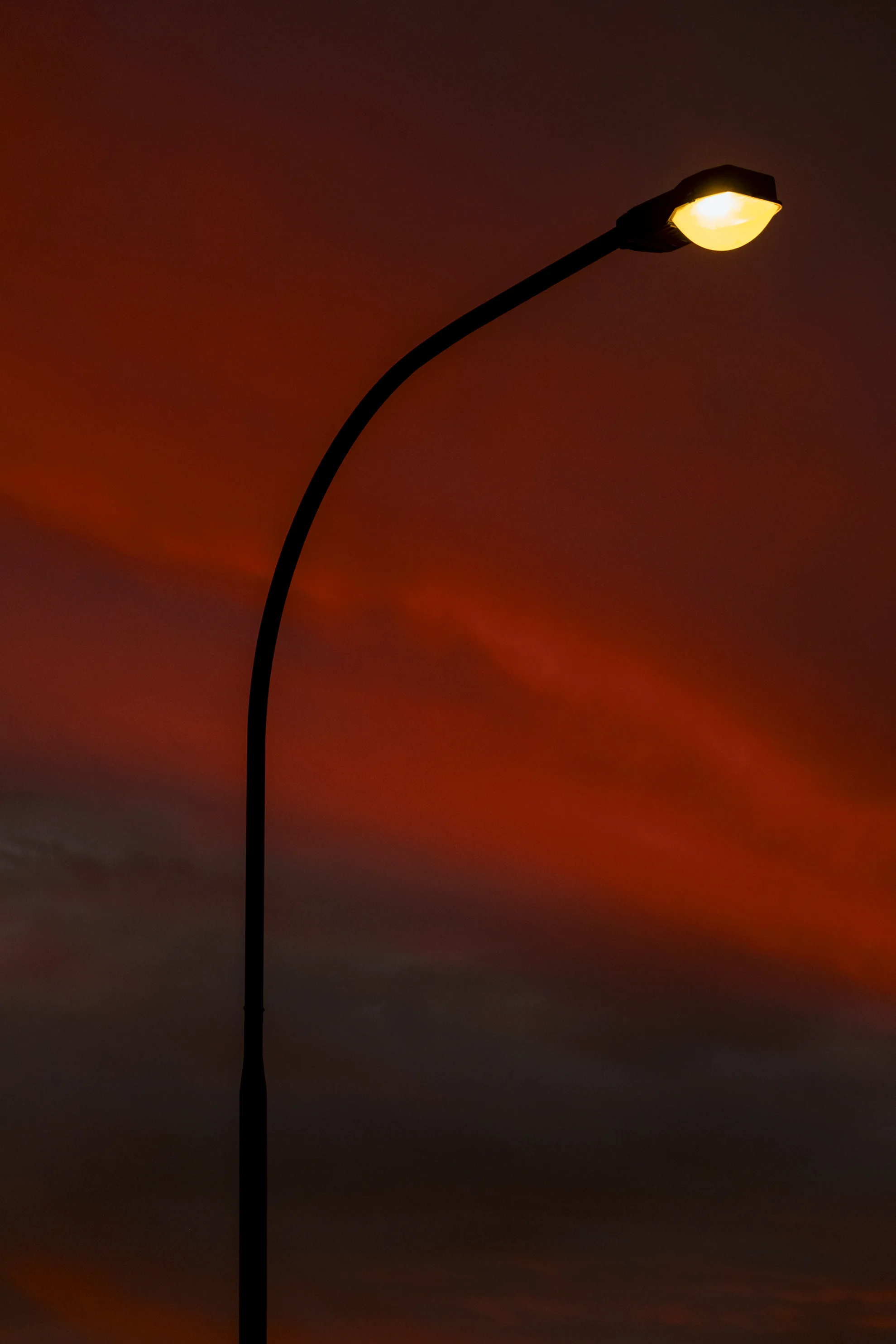 DSCF2795.jpg