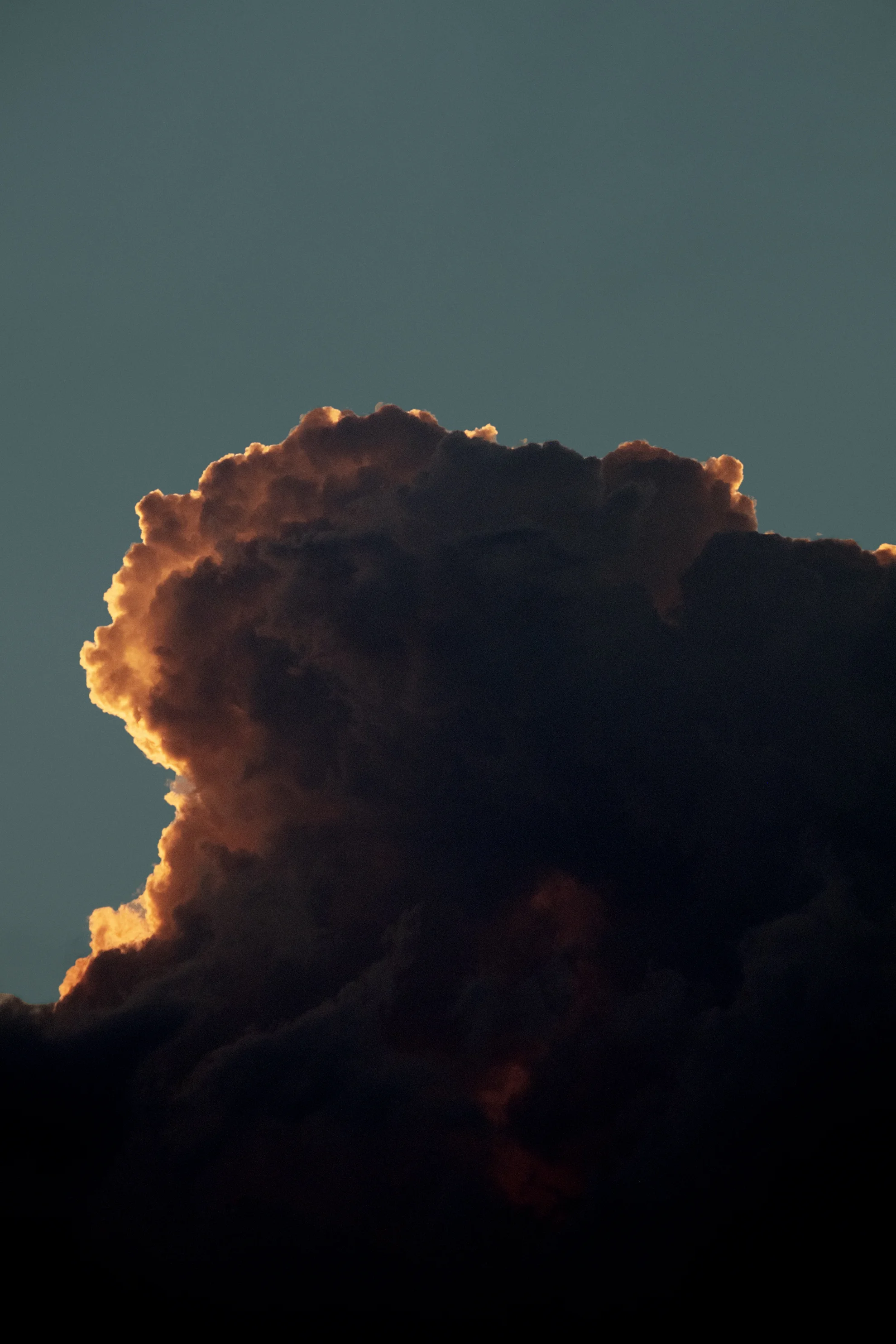 DSCF3769-2.jpg
