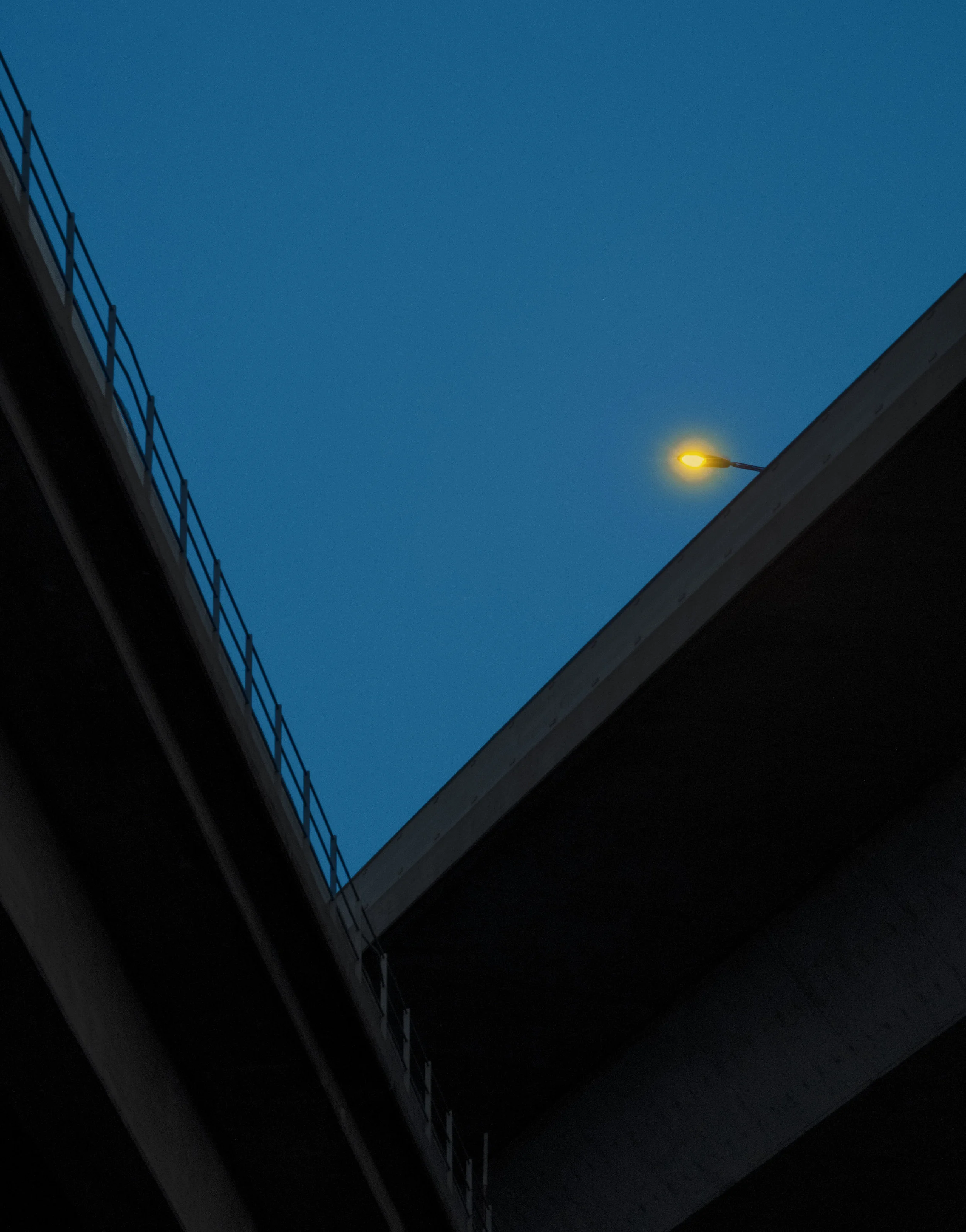 DSCF4198.jpg