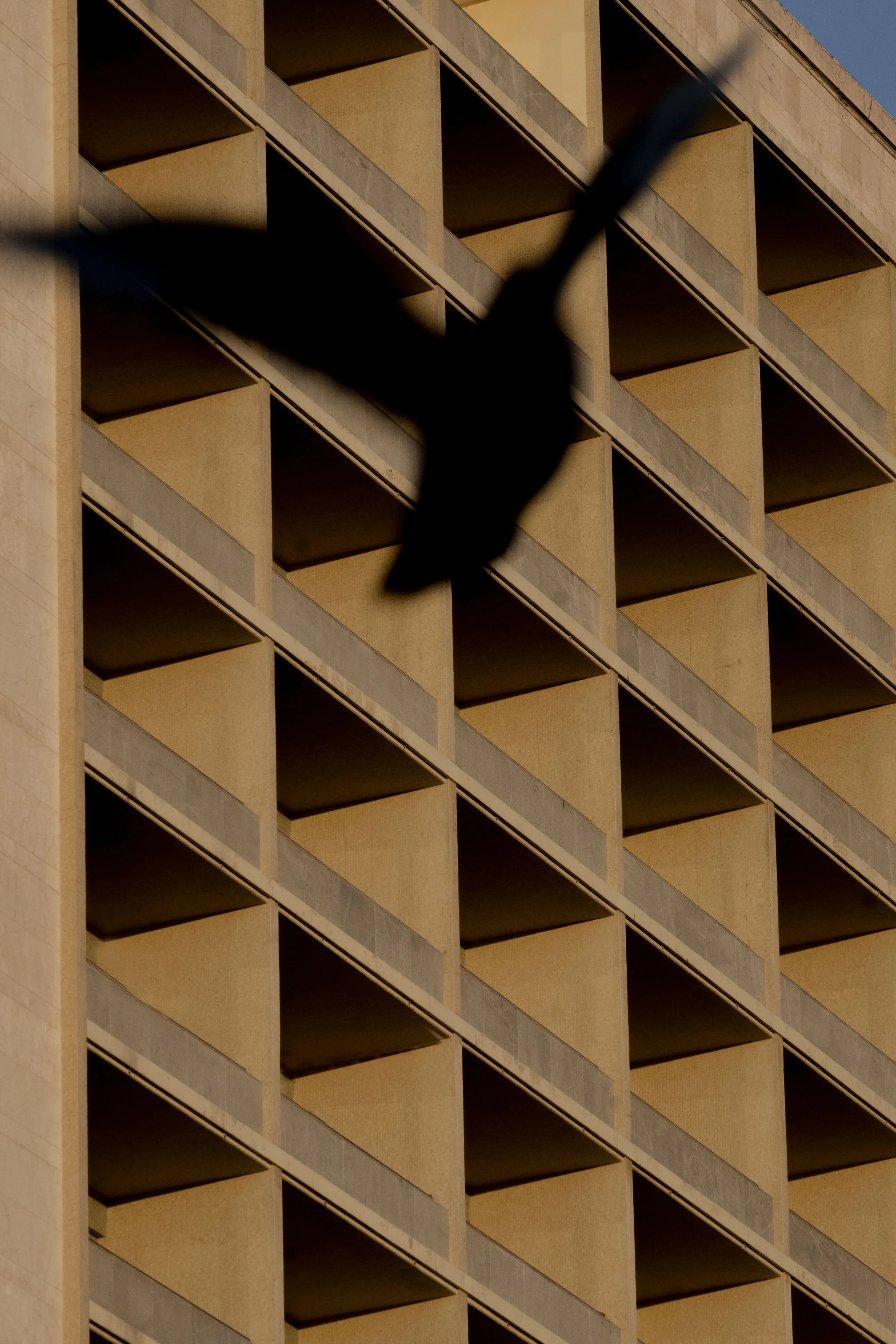 DSCF3449.jpg