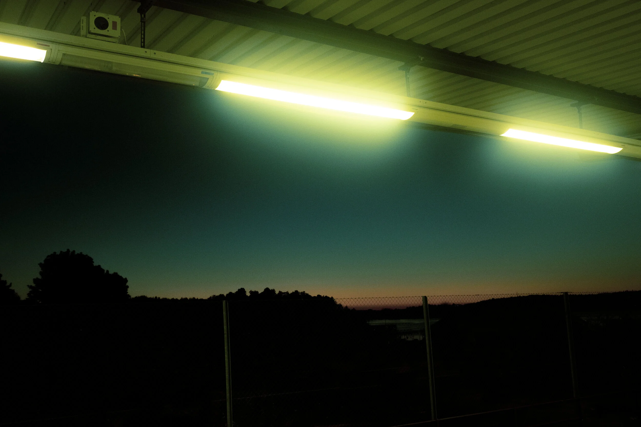 DSCF6170.jpg
