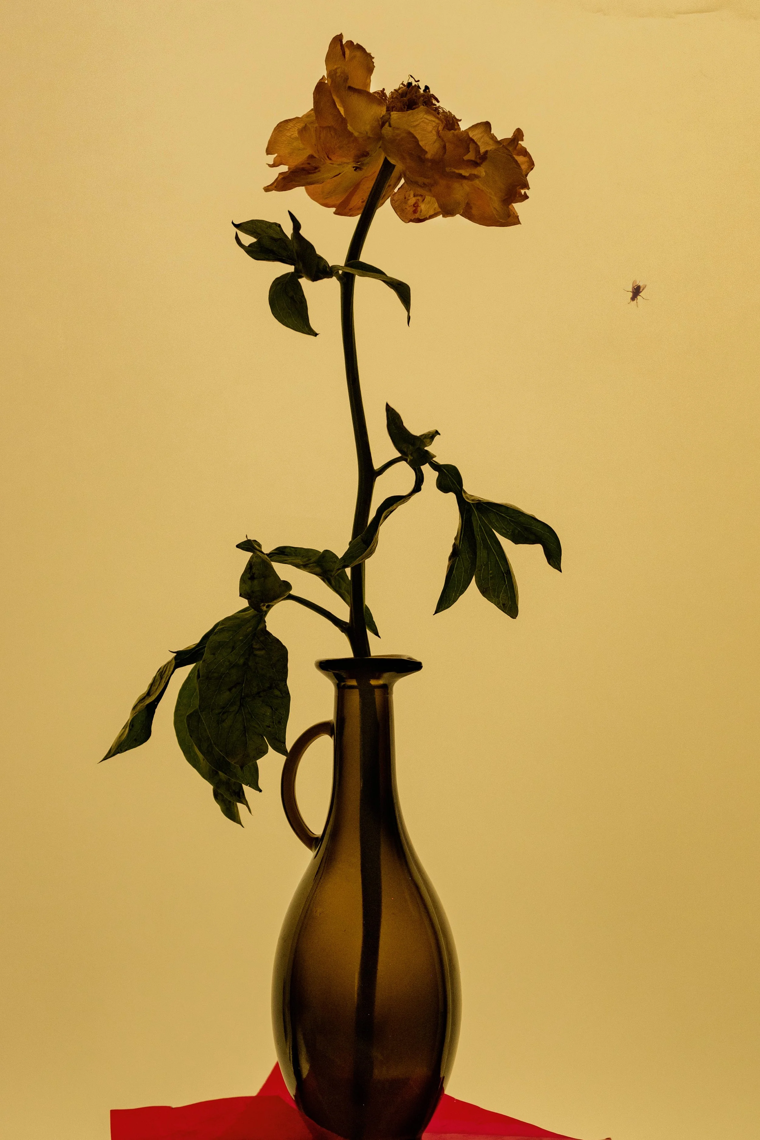 DSCF8975-Återställd kopiera 2.jpg