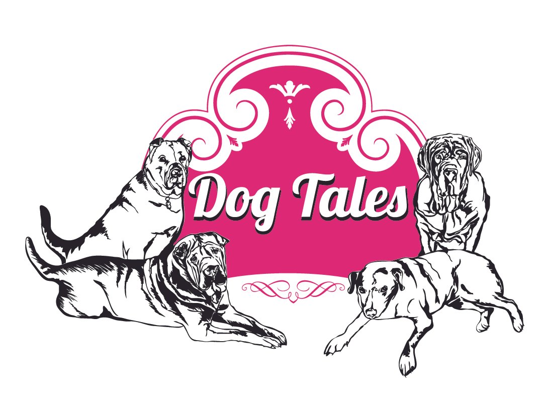 Dog Tales Accessibility Plan