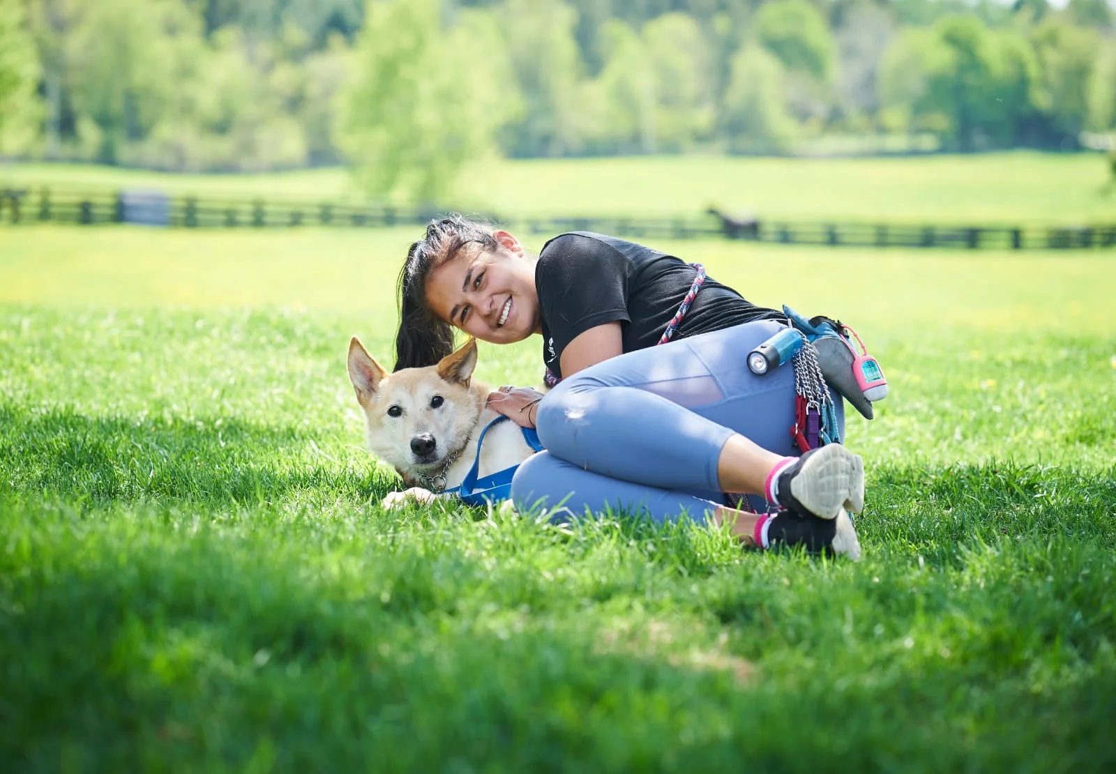 Volunteer — Dog Tales Rescue and Sanctuary