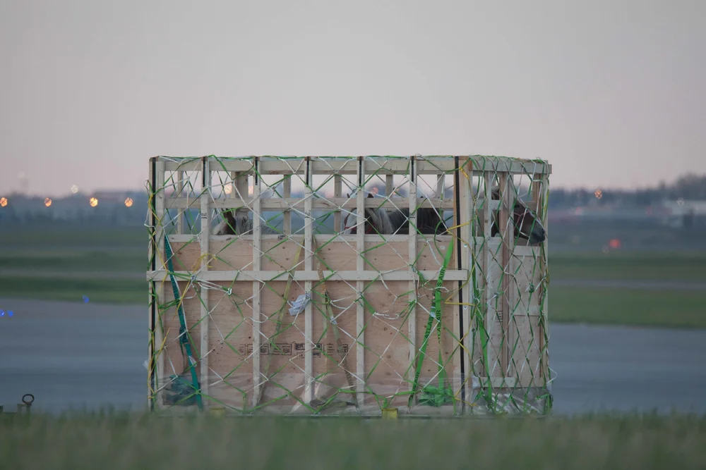 Canadian Horse Meat Trade — Dog Tales Rescue and Sanctuary