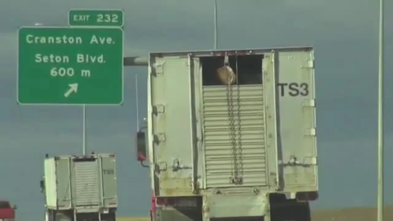 Horses on their way to Calgary Airport to be shipped for slaughter in Japan. Credit: https://defendhorsescanada.org/a-consolidated-review-of-the-live-draft-horse-shipments-from-canada-to-japan