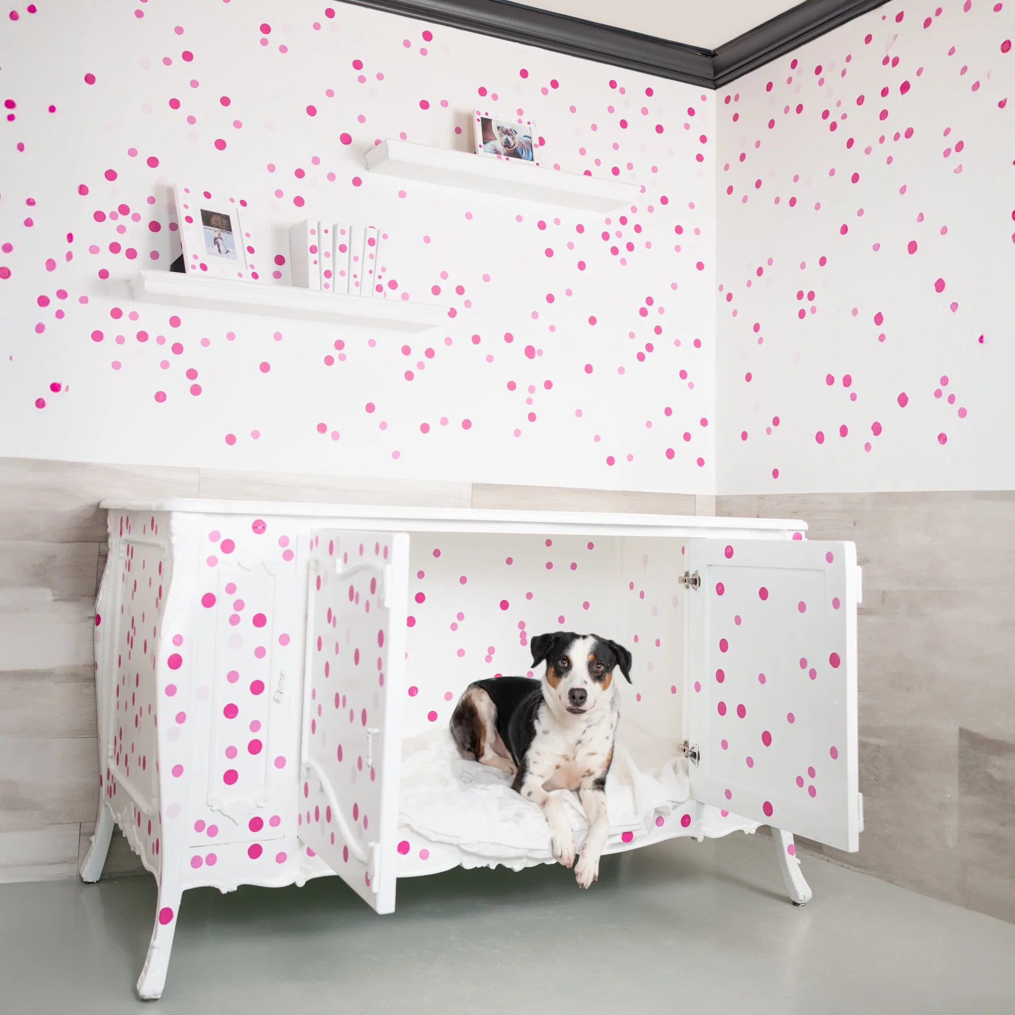 Kennel.jpg