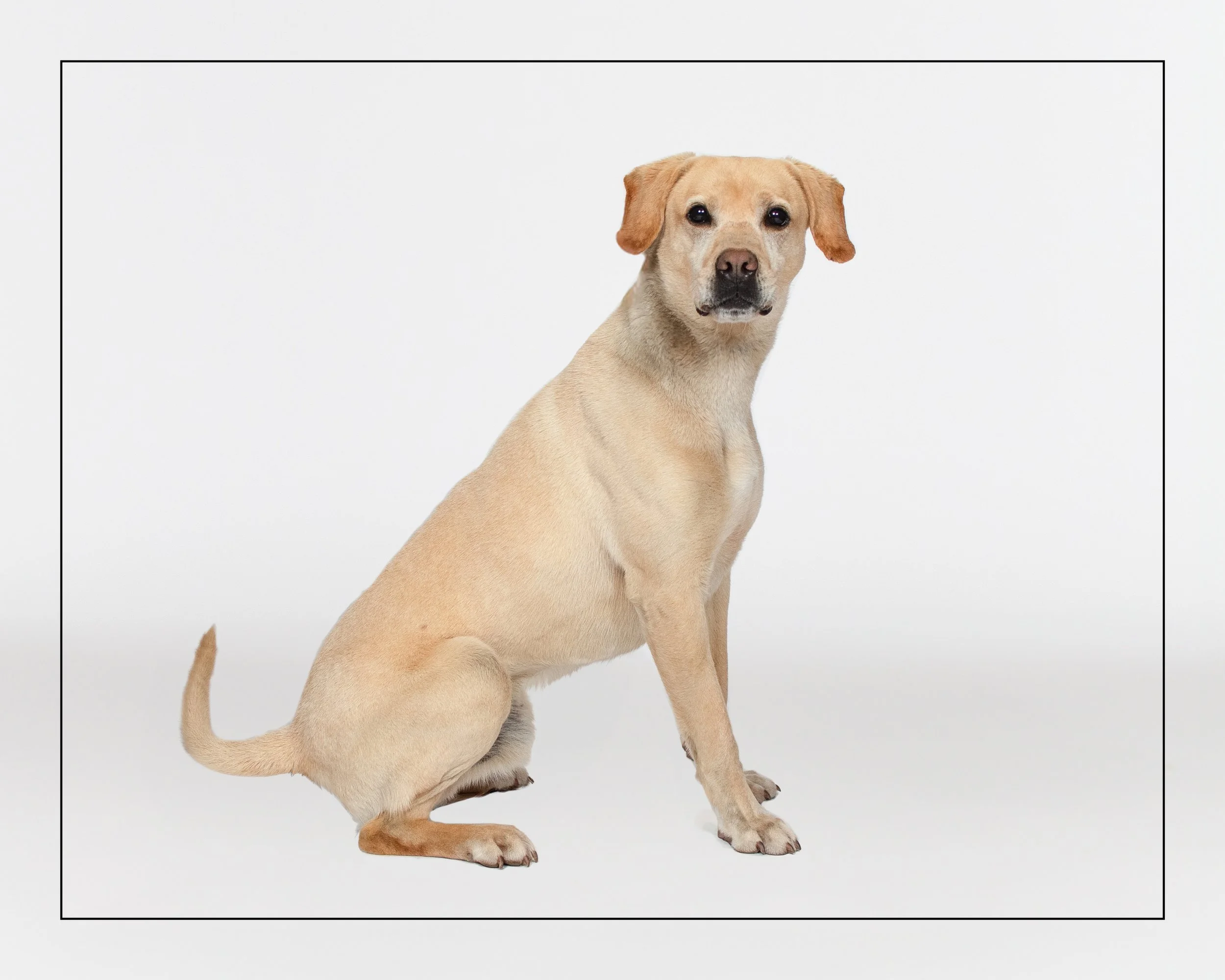 Meatball01-849.jpg