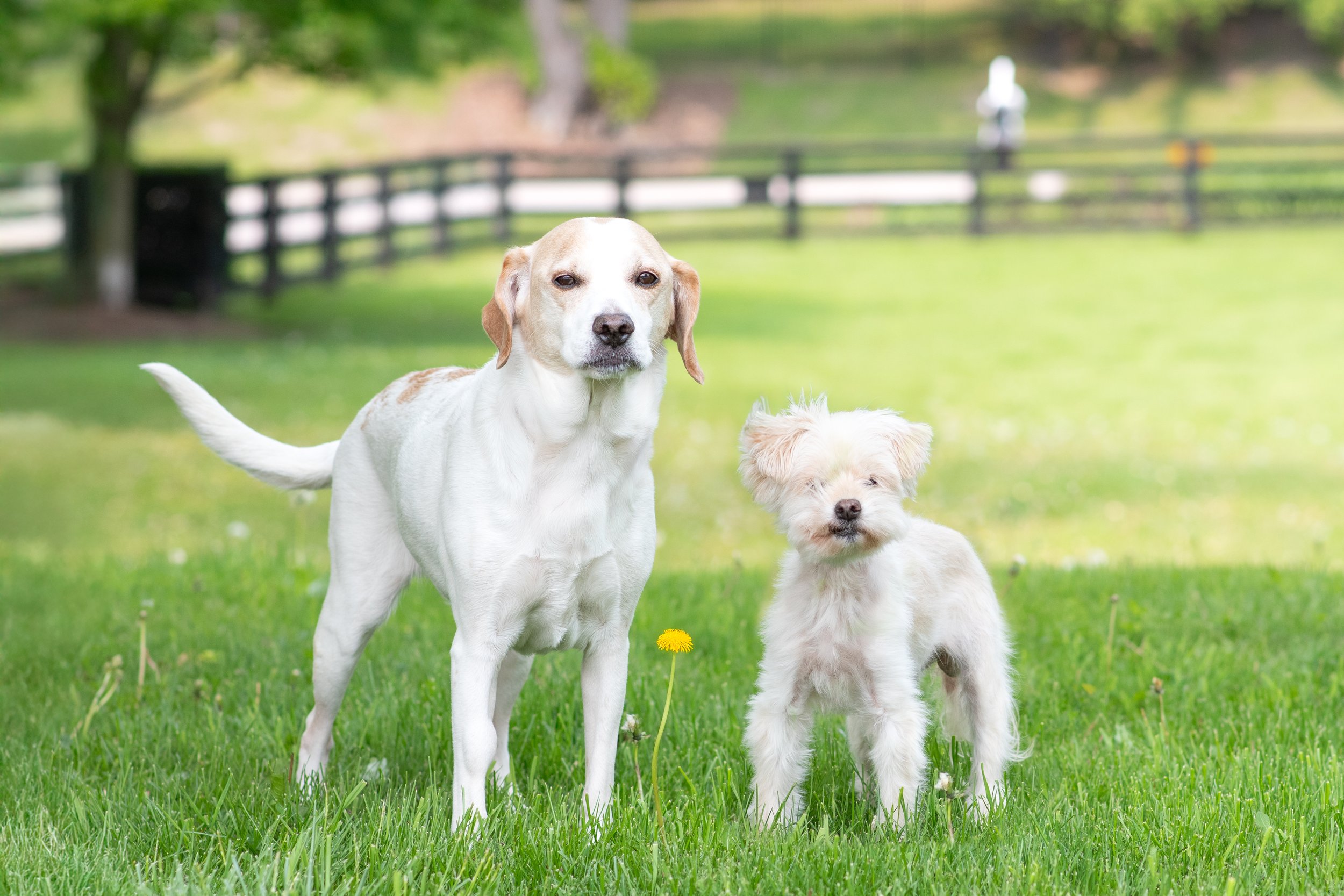 Sofie957 & Coley958-01.jpg