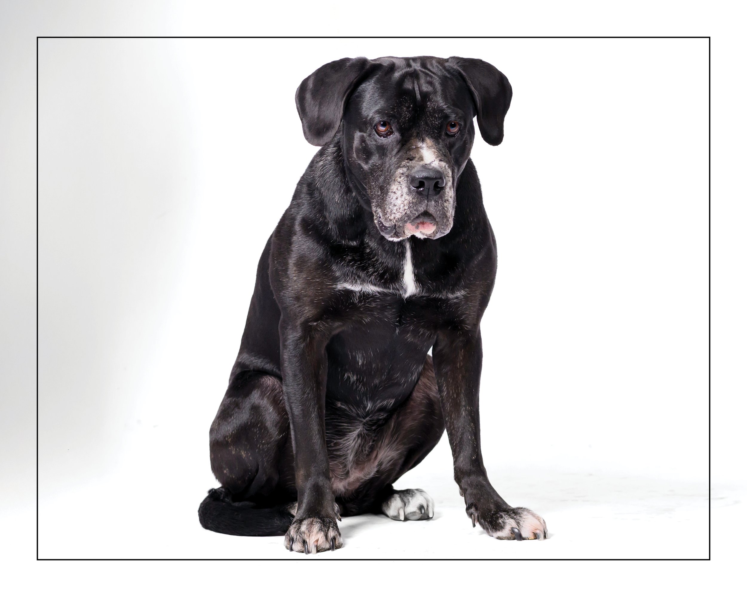 Stella01-529.jpg