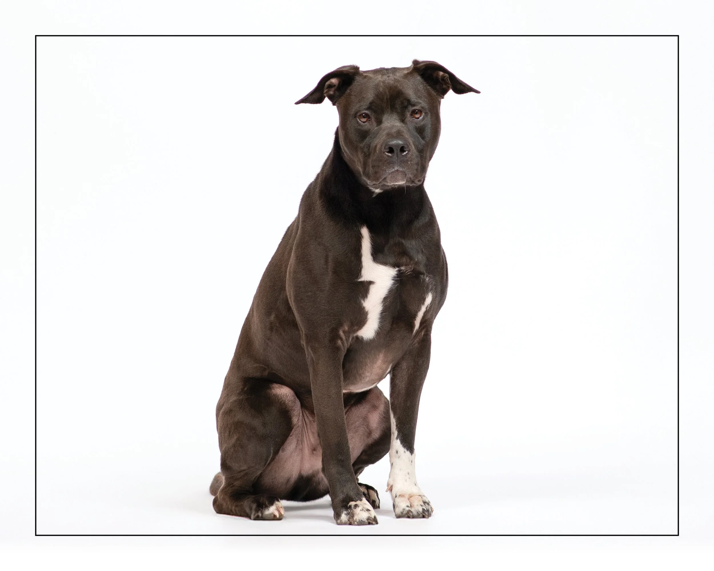 Bruno01-617.jpg