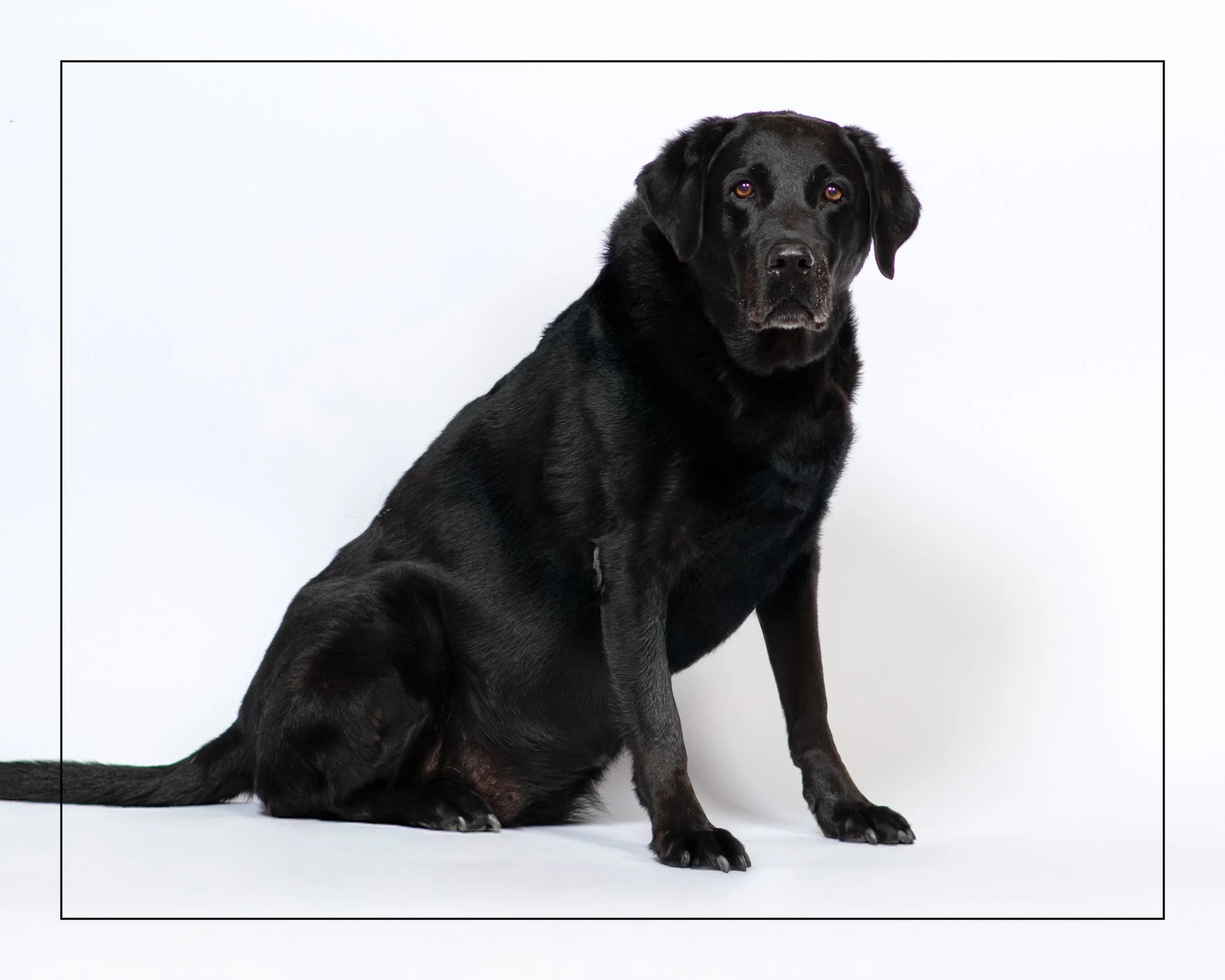 Maddy01-976.jpg