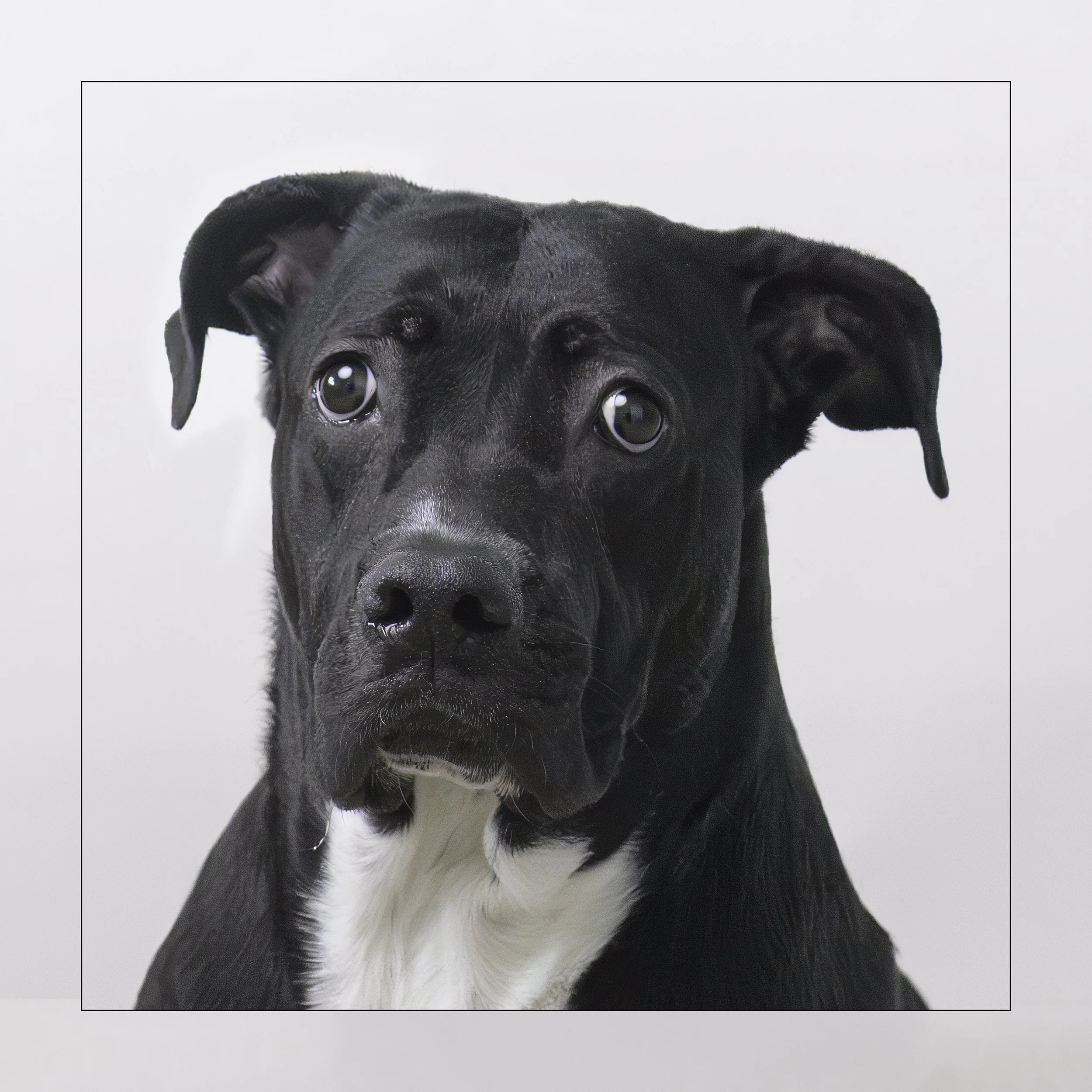 Raya