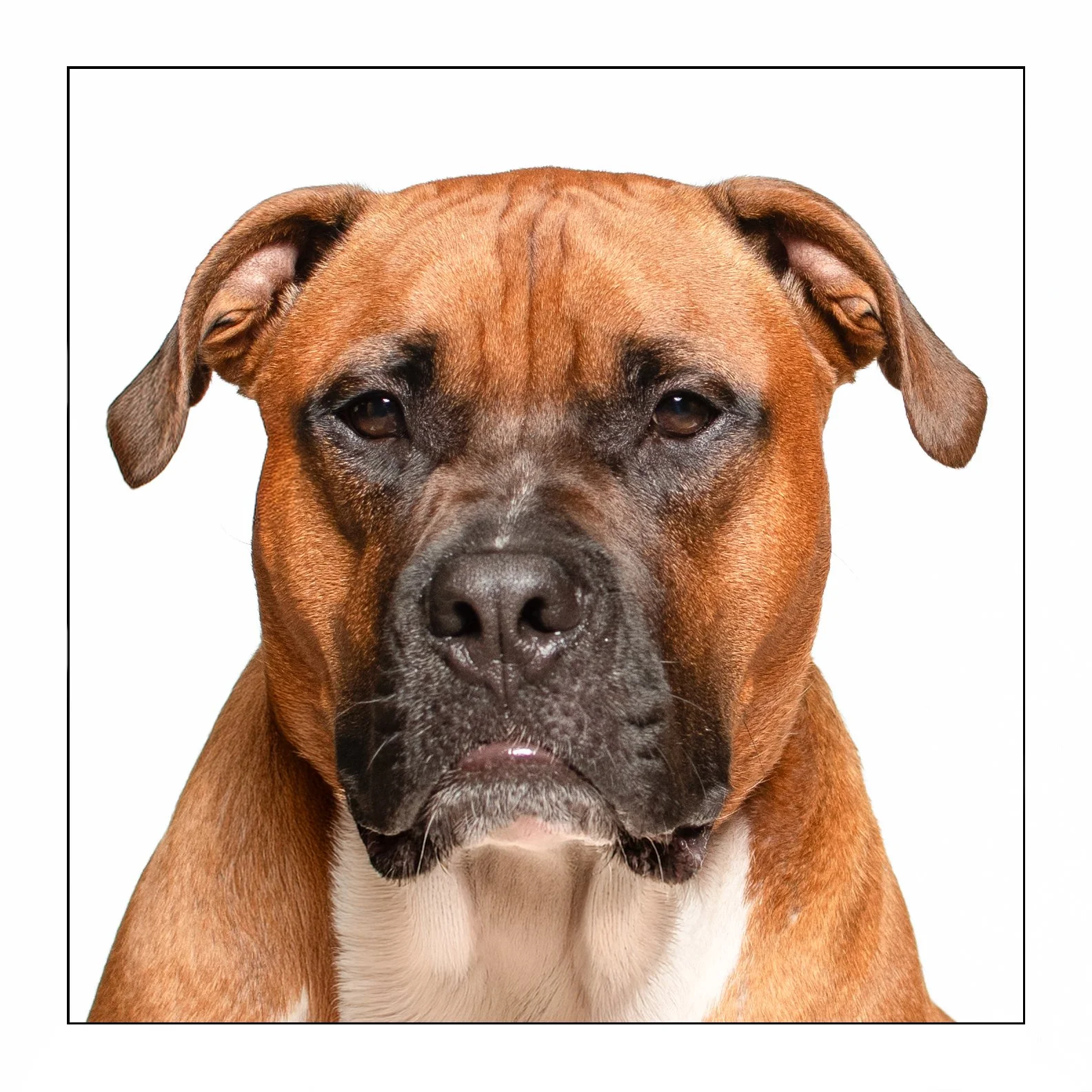 Hooch